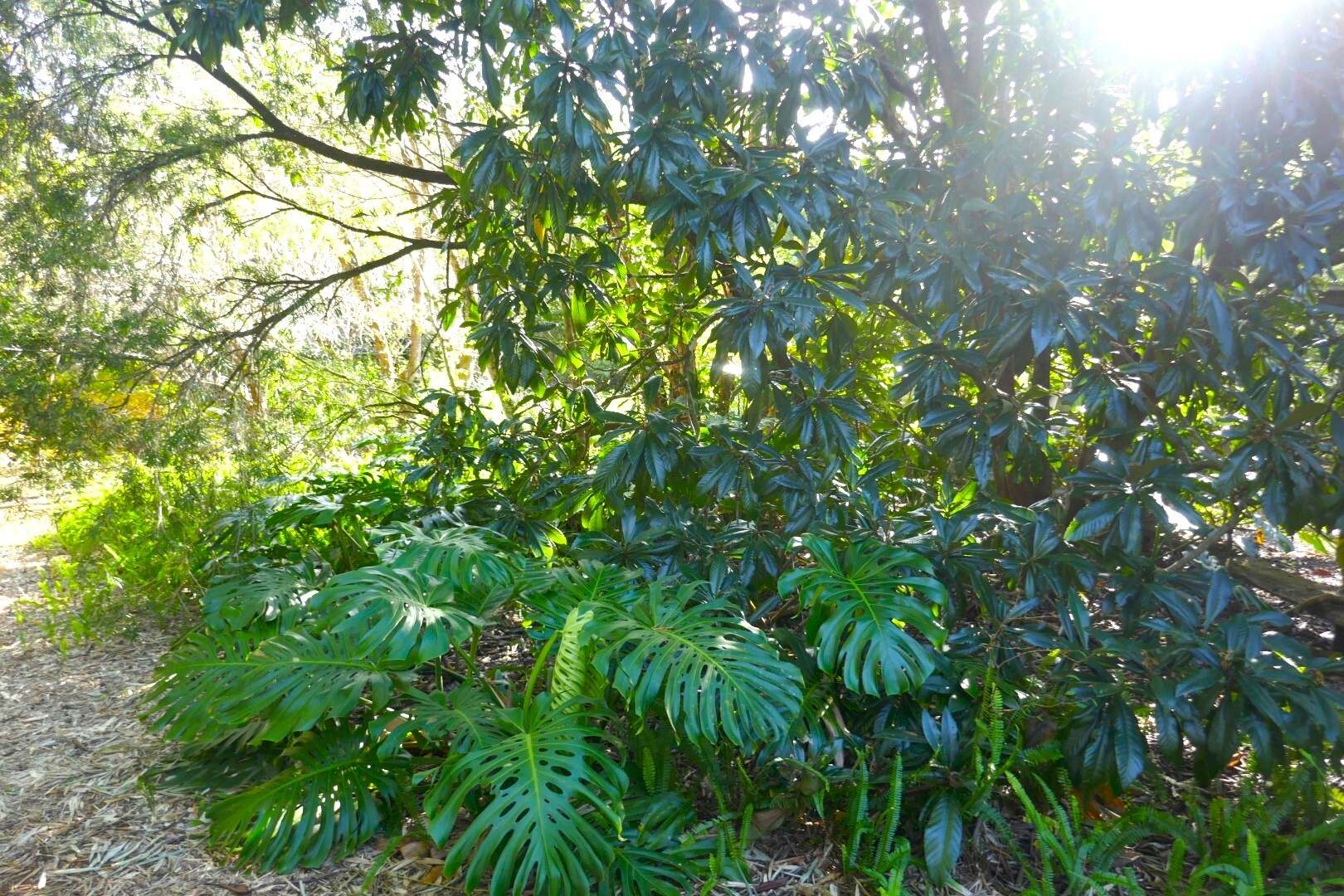 1108 Eden Creek Road, Kyogle For Sale by Farmbuy.com - image 12