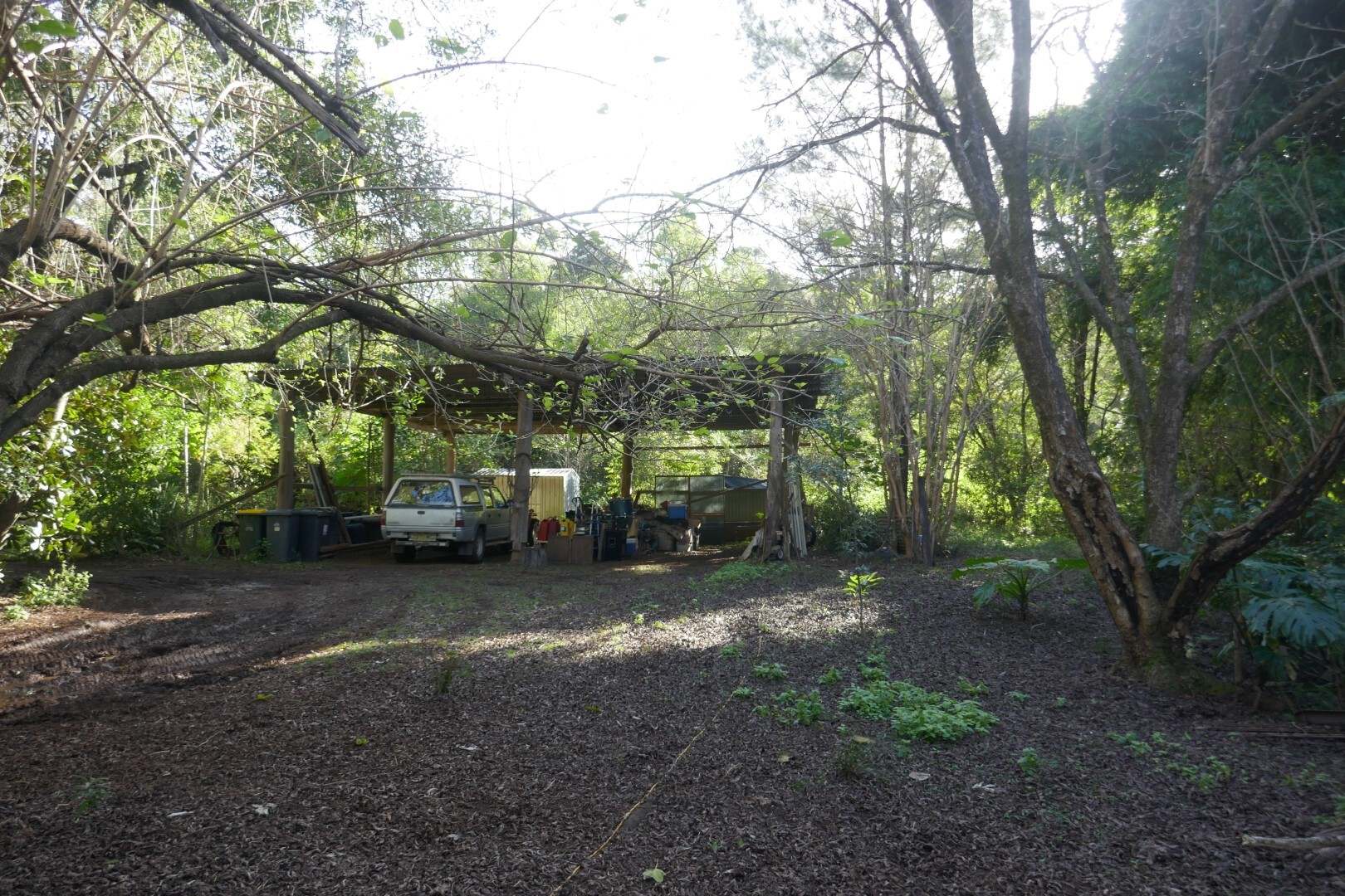 1108 Eden Creek Road, Kyogle For Sale by Farmbuy.com - image 4