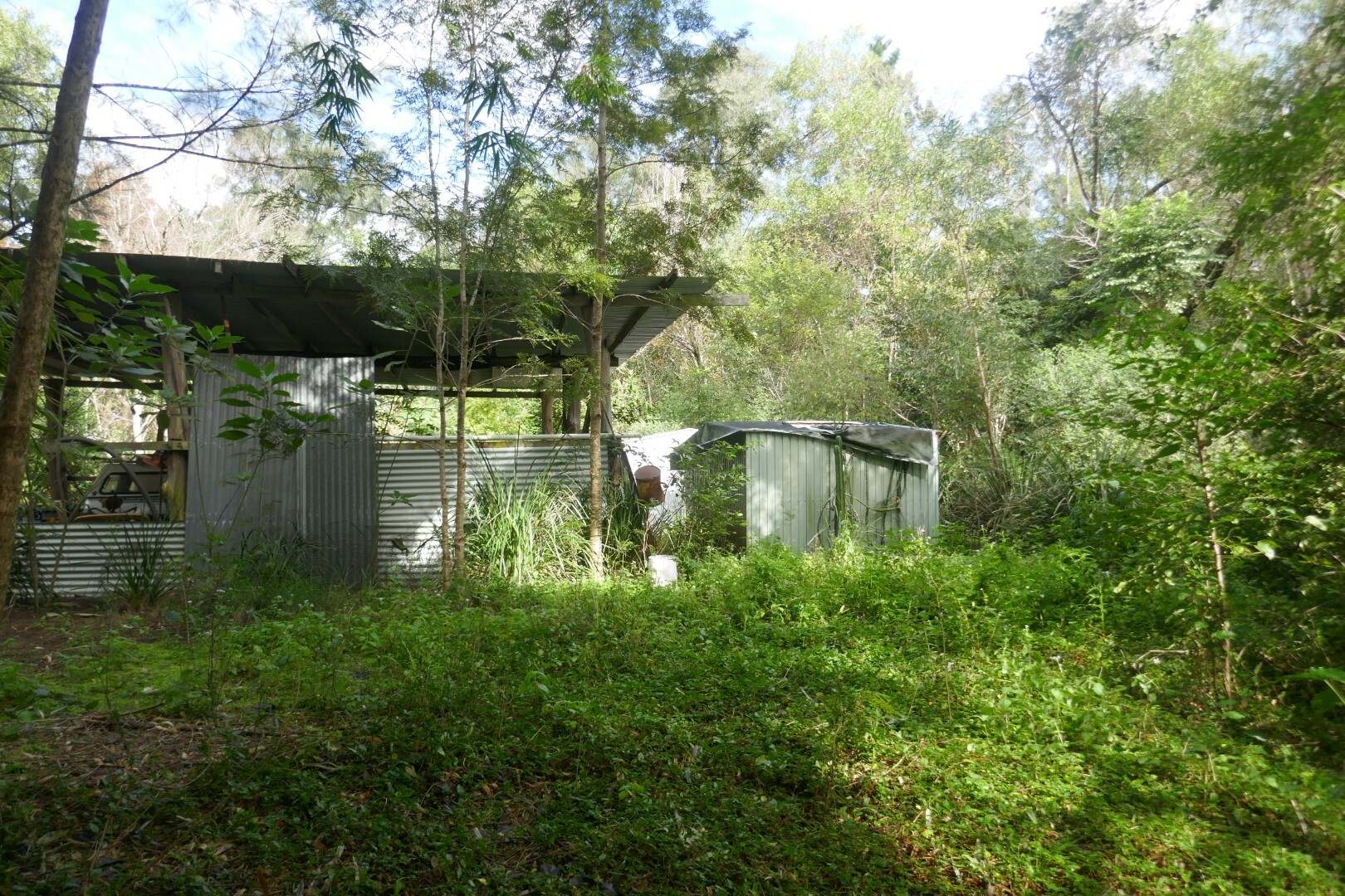 1108 Eden Creek Road, Kyogle For Sale by Farmbuy.com - image 9