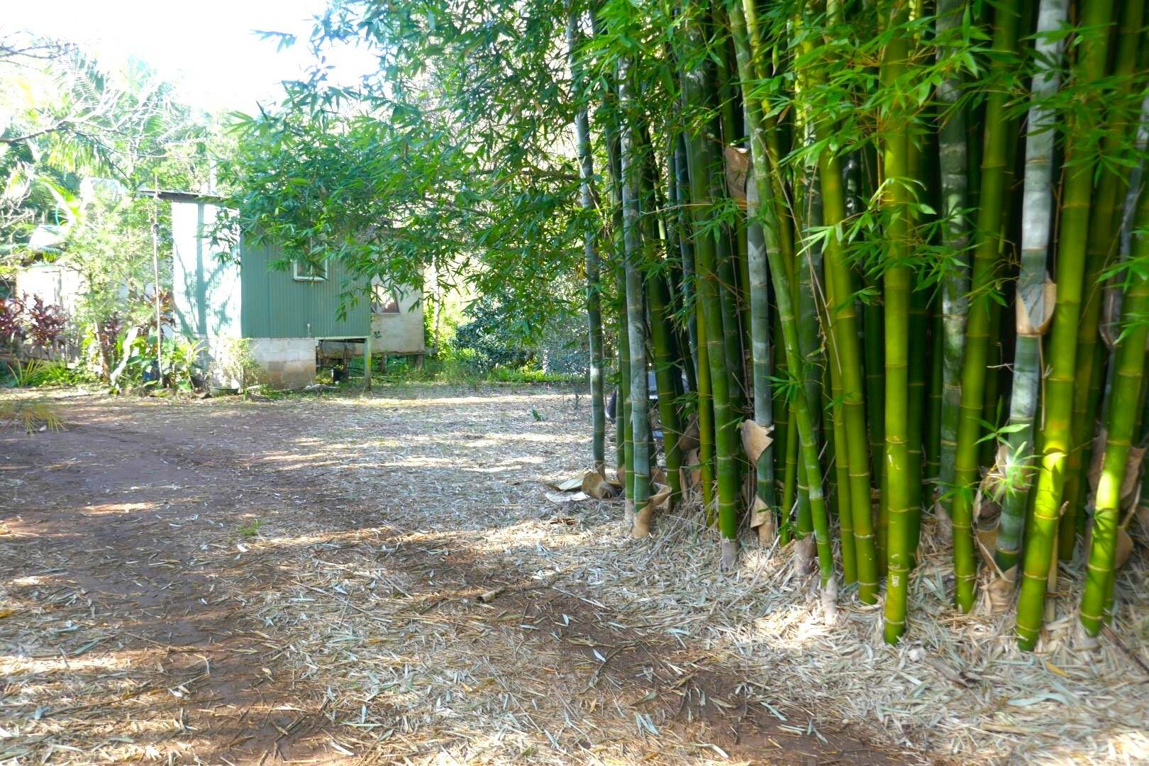 1108 Eden Creek Road, Kyogle For Sale by Farmbuy.com - image 11