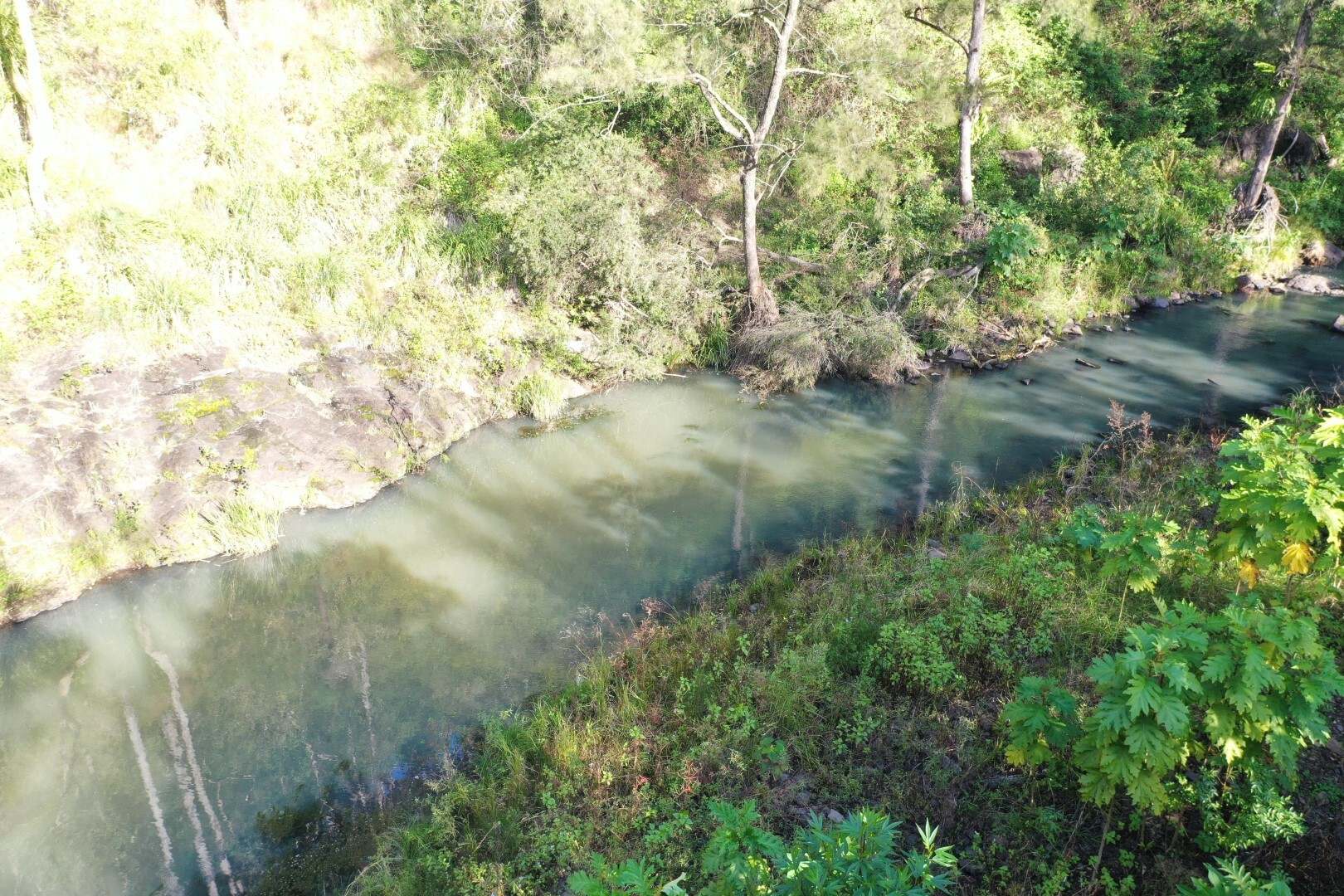 1108 Eden Creek Road, Kyogle For Sale by Farmbuy.com - image 13