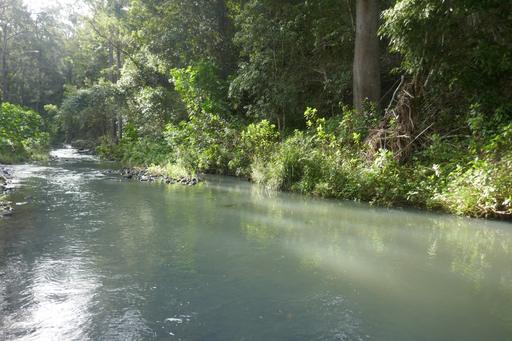 Farm For Sale - NSW - Kyogle - 2474 - 1.4km's OF PRISTINE CREEK FRONTAGE 