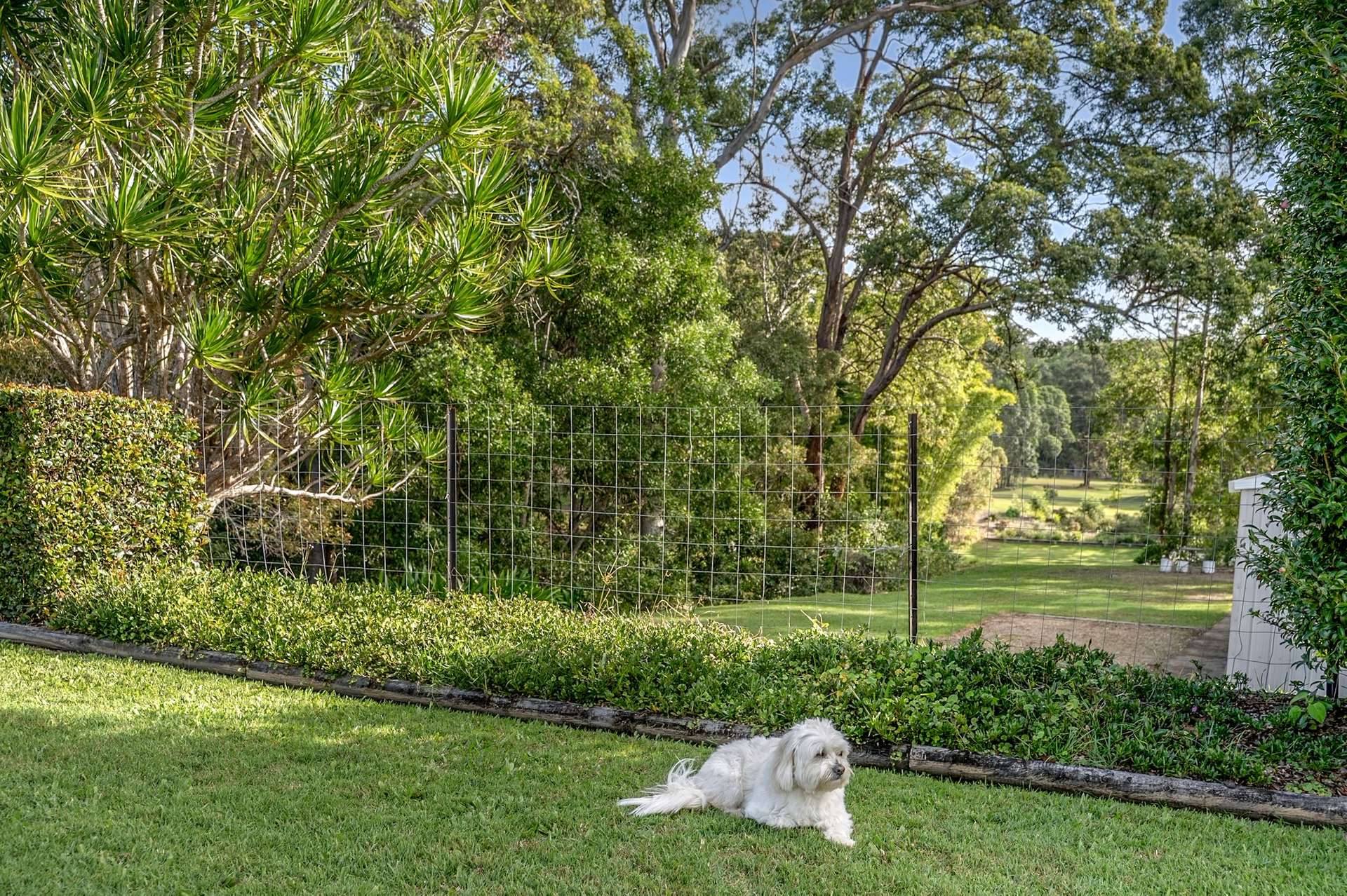 9 Ransome Street, Pomona For Sale by Farmbuy.com - image 16
