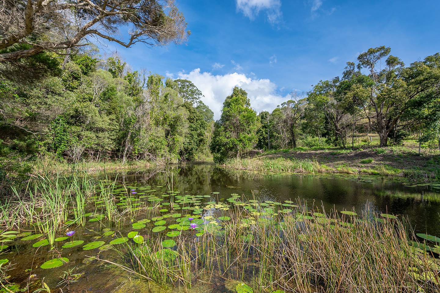 45 Beechtree Road, Black Mountain For Sale by Farmbuy.com - image 21
