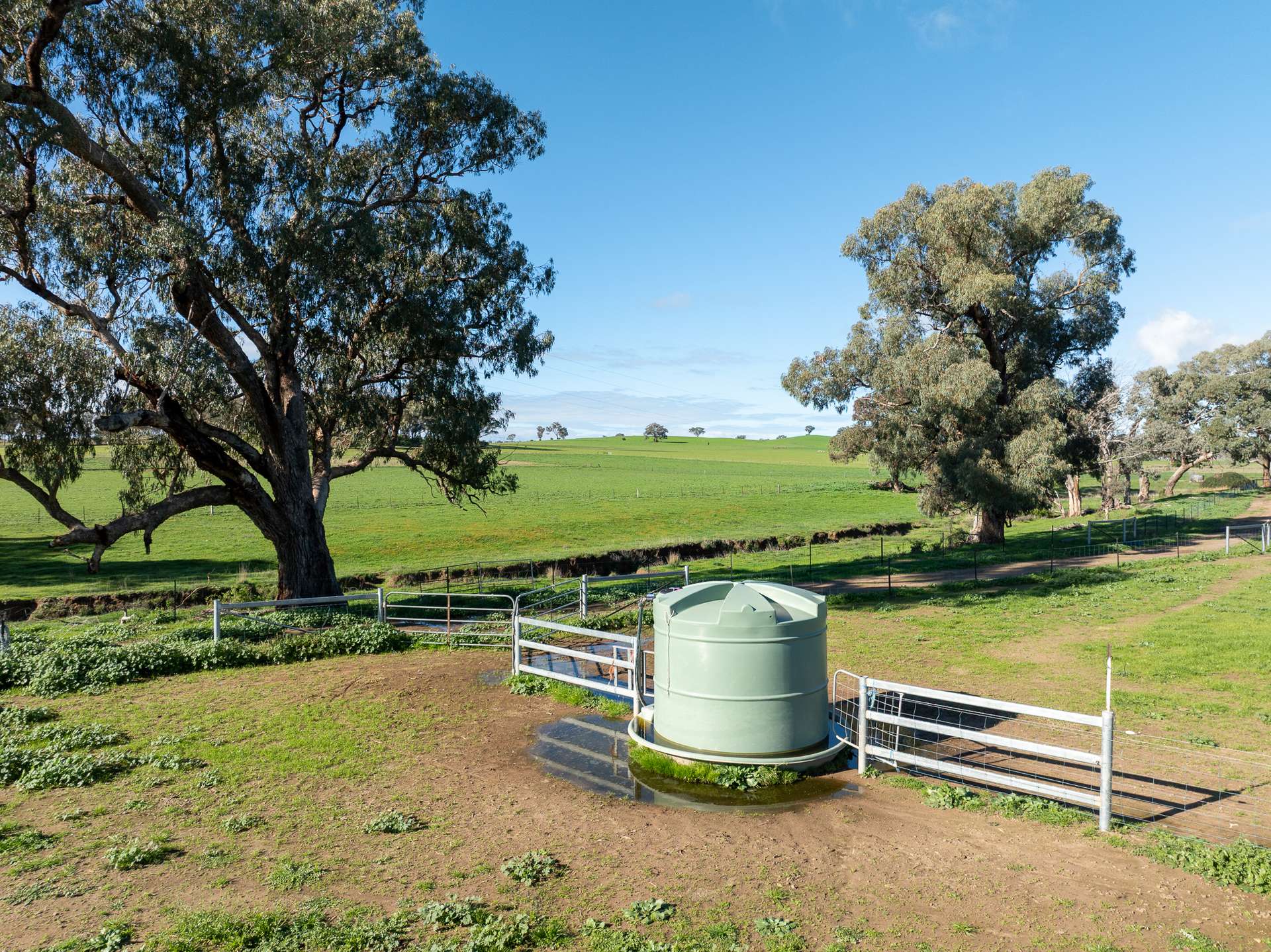 69 Mclaughlan Street, Cumnock Auction by Farmbuy.com - image 16