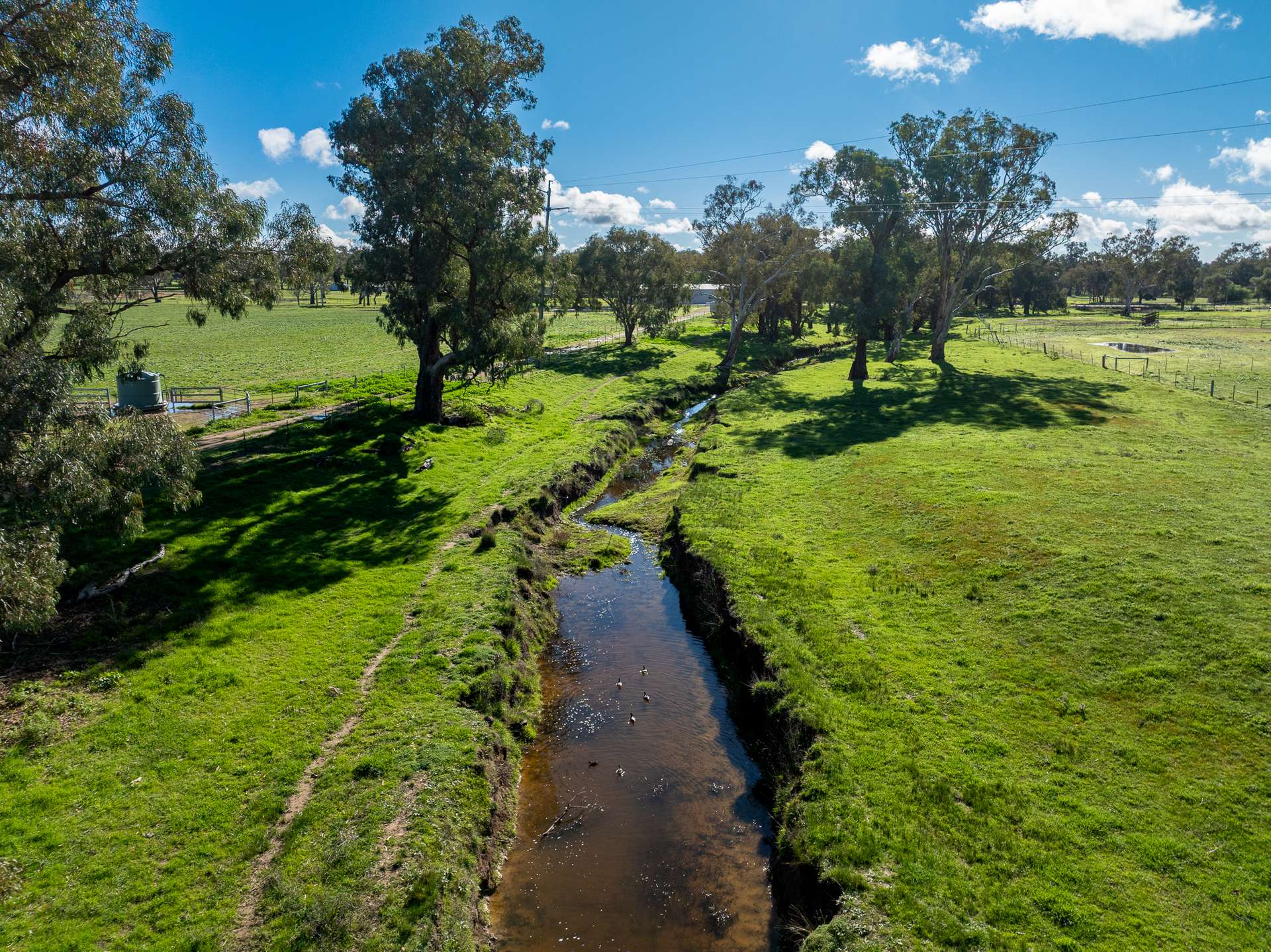69 Mclaughlan Street, Cumnock Auction by Farmbuy.com - image 15