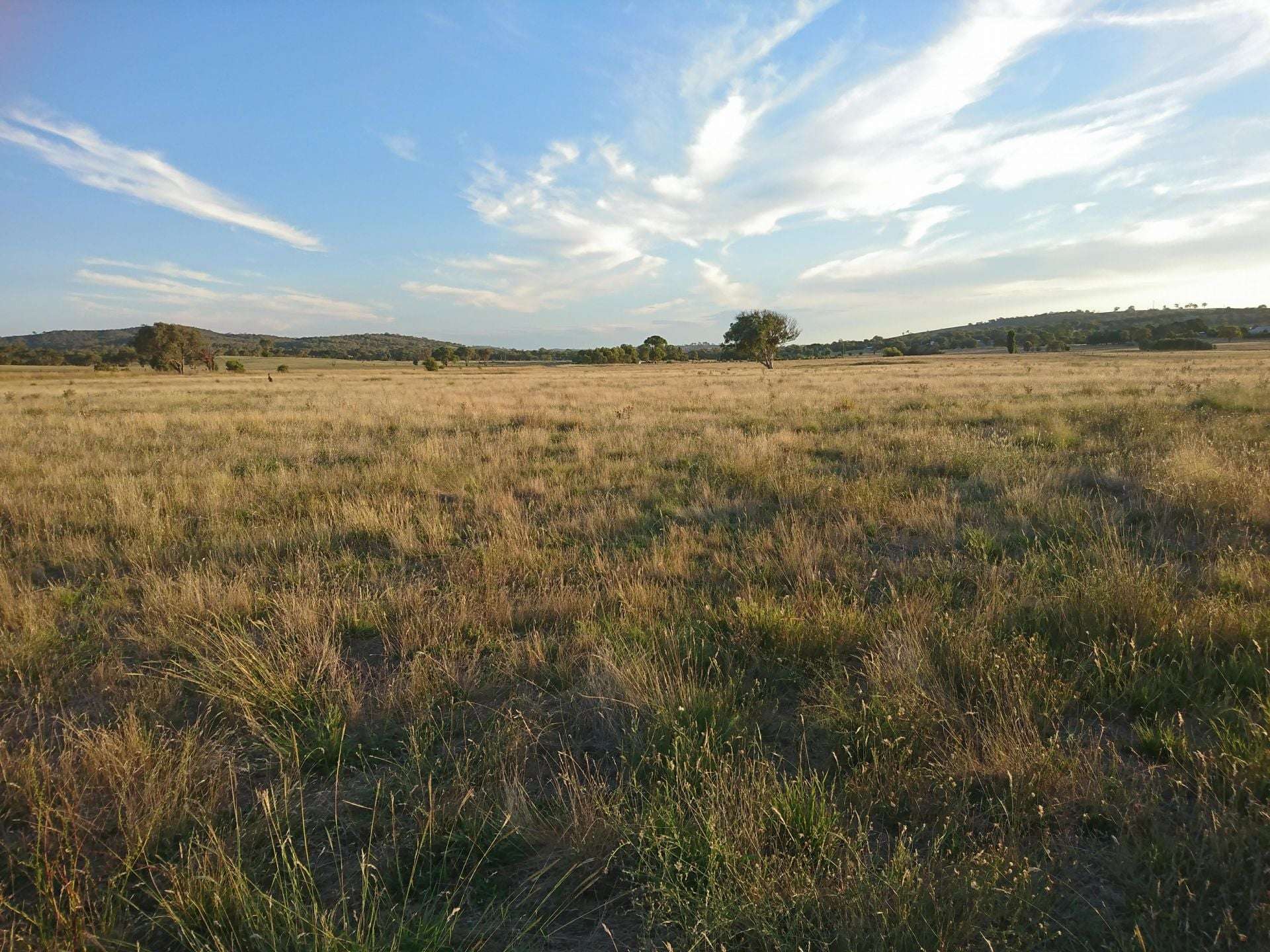 Lot 27 Walsh's Road, Dalton For Sale by Farmbuy.com - image 1