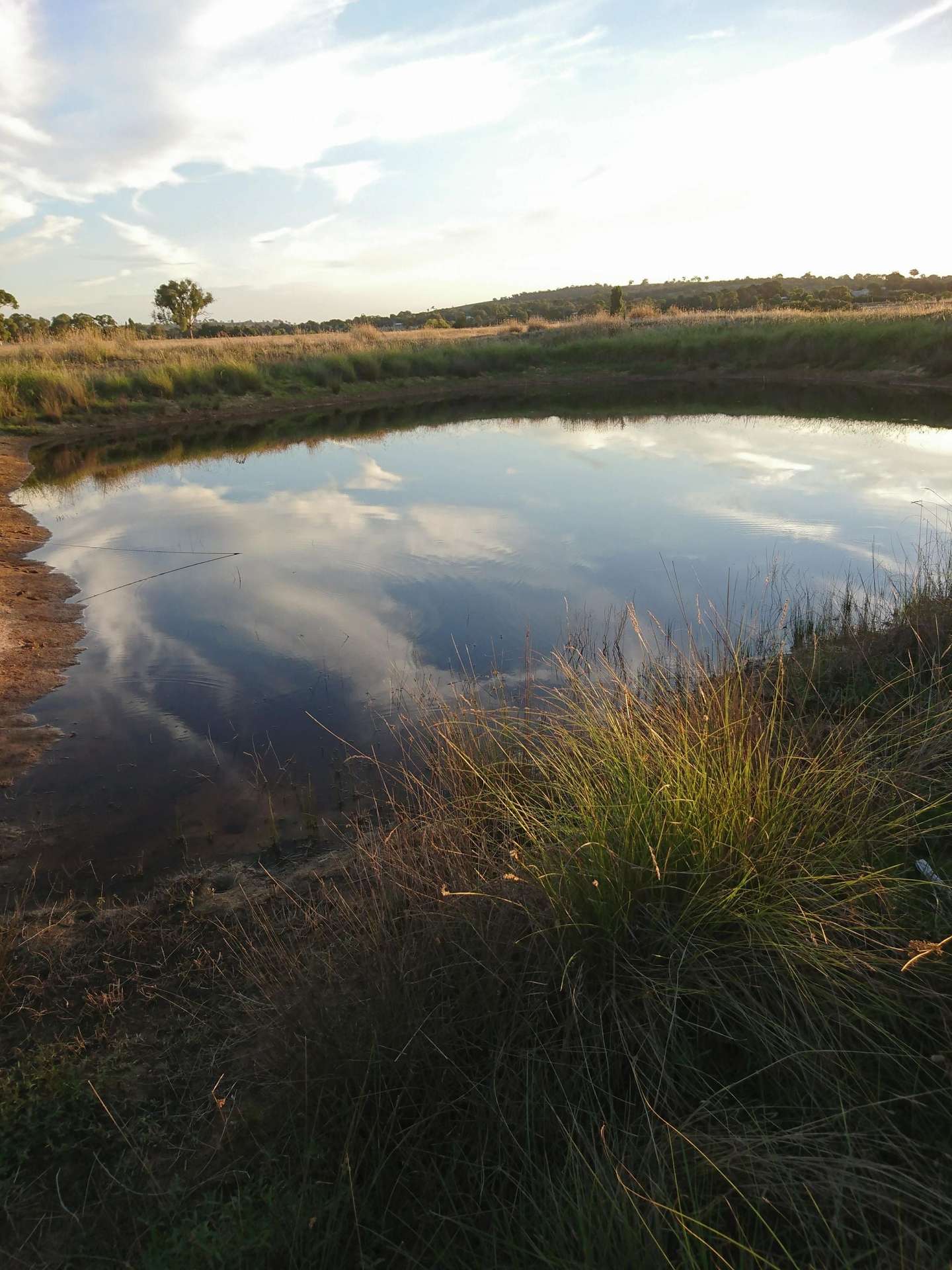 Lot 27 Walsh's Road, Dalton For Sale by Farmbuy.com - image 3