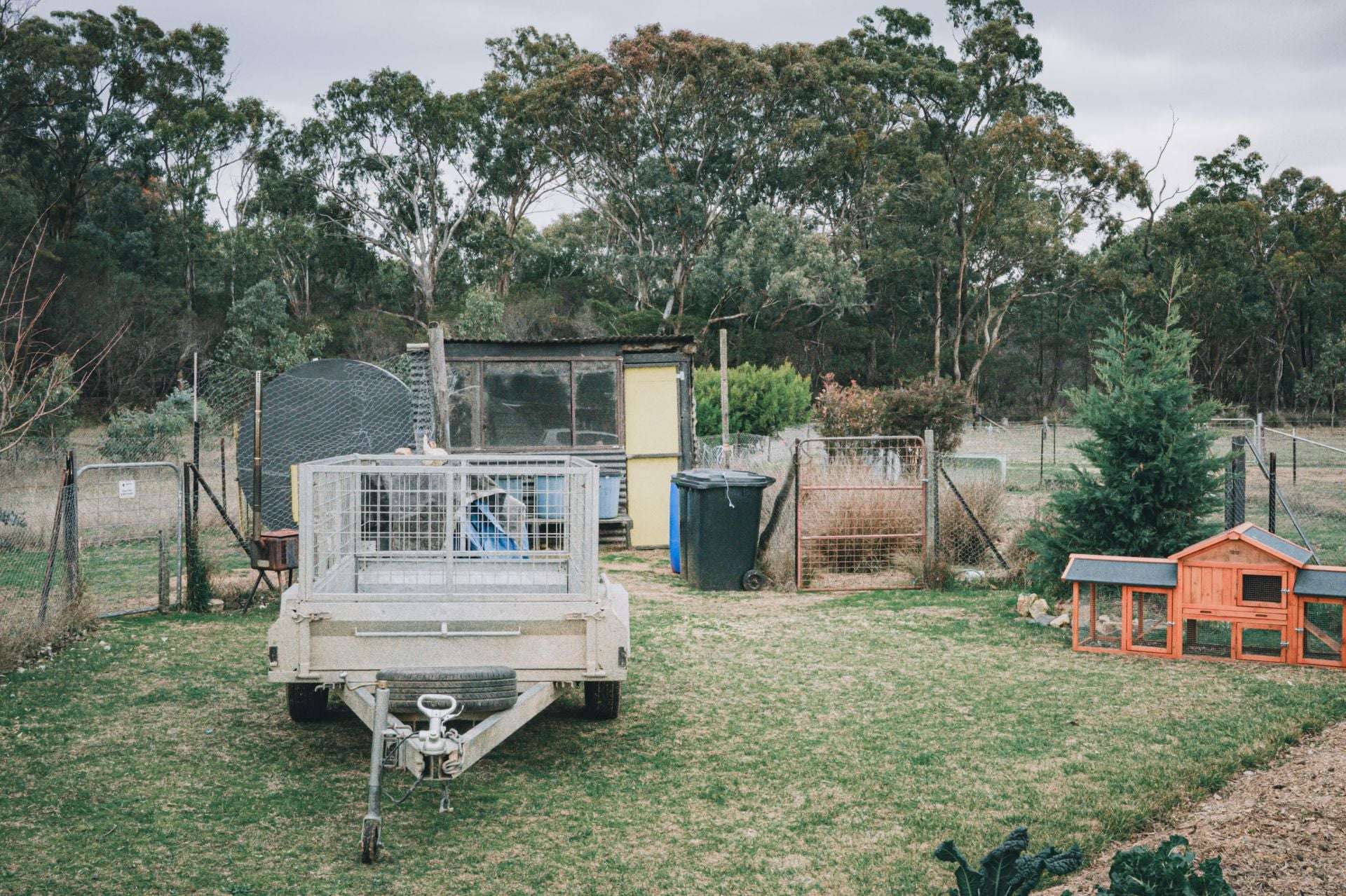 5368 Strathbogie Rd, Emmaville For Sale by Farmbuy.com - image 5