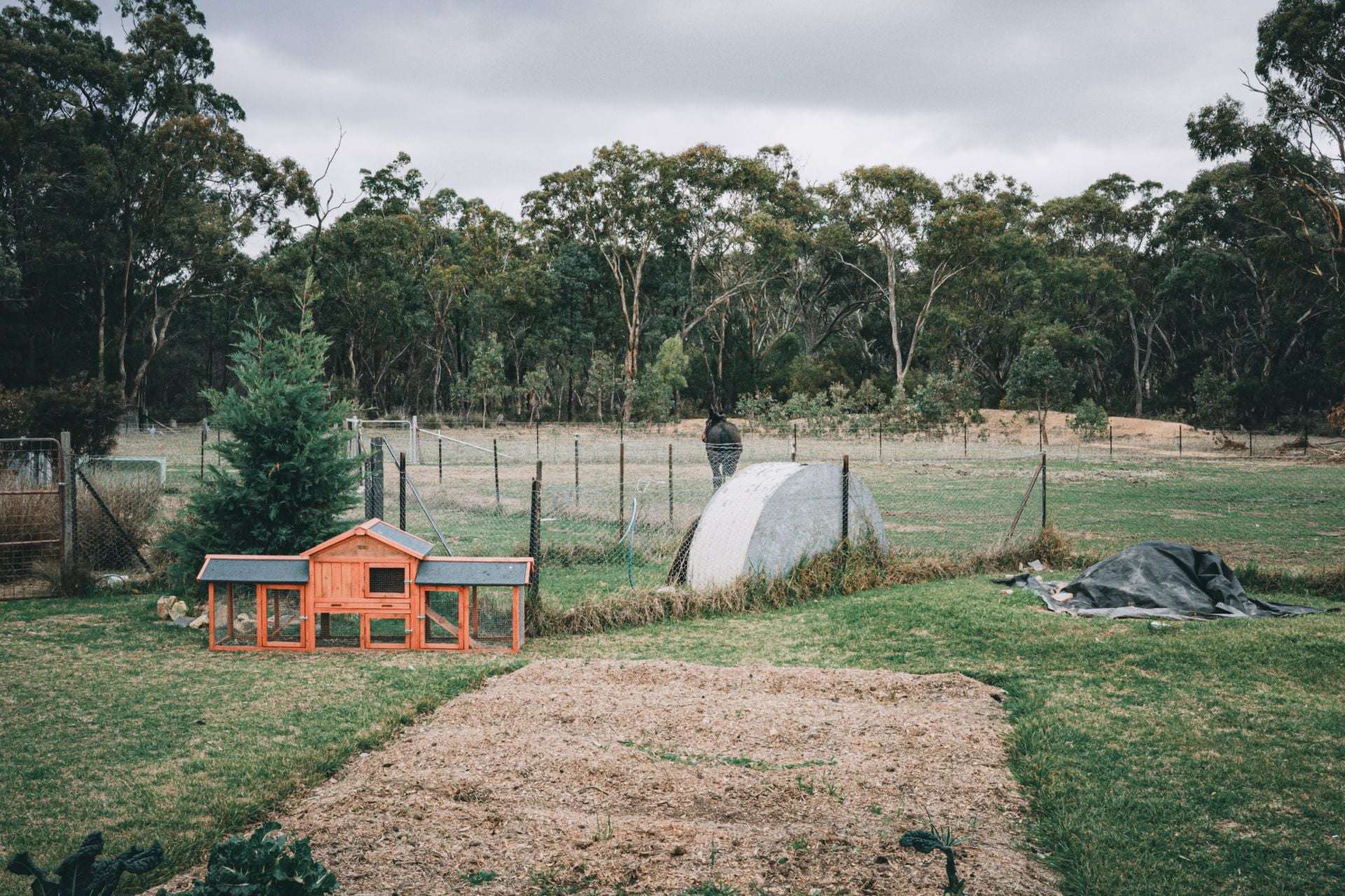 5368 Strathbogie Rd, Emmaville For Sale by Farmbuy.com - image 4
