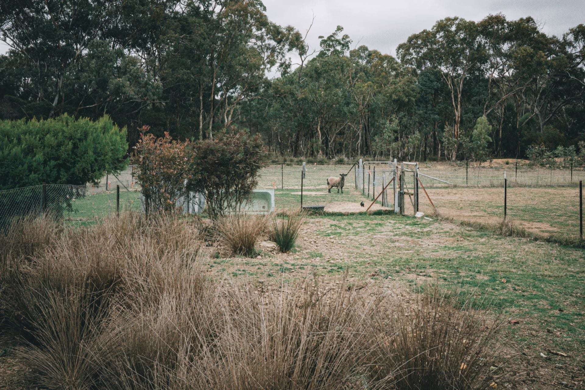 5368 Strathbogie Rd, Emmaville For Sale by Farmbuy.com - image 3