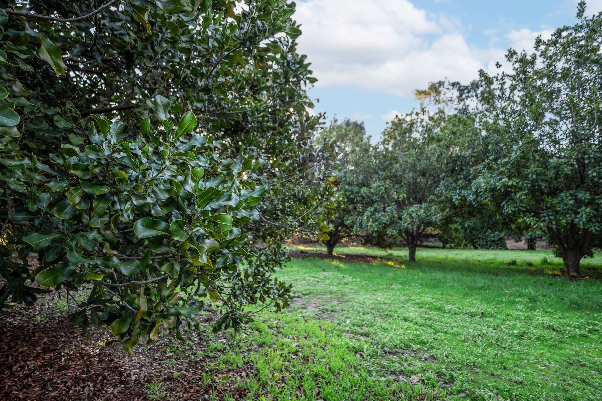 546 Boodjidup Road, Redgate For Sale by Farmbuy.com - image 31