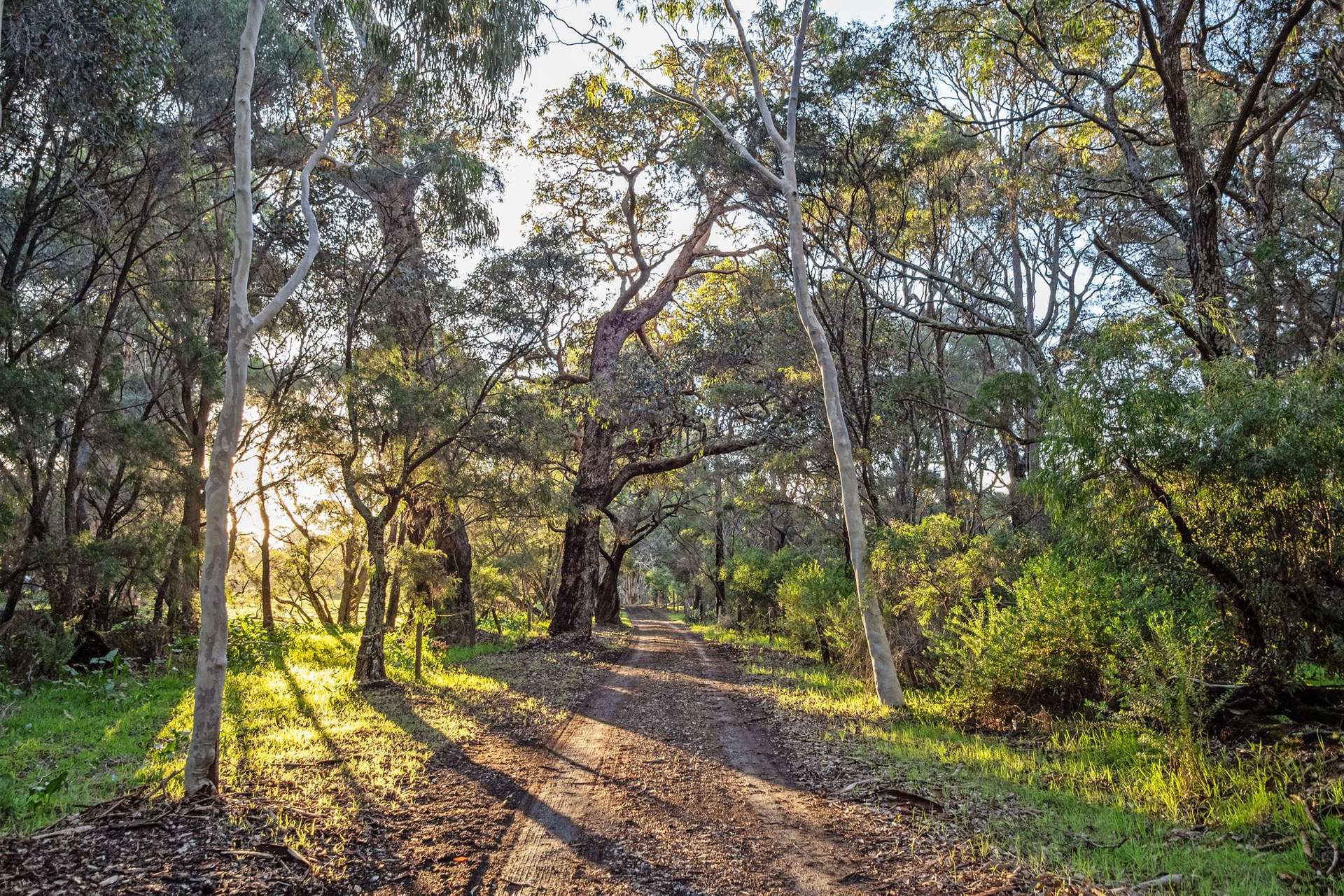 546 Boodjidup Road, Redgate For Sale by Farmbuy.com - image 1