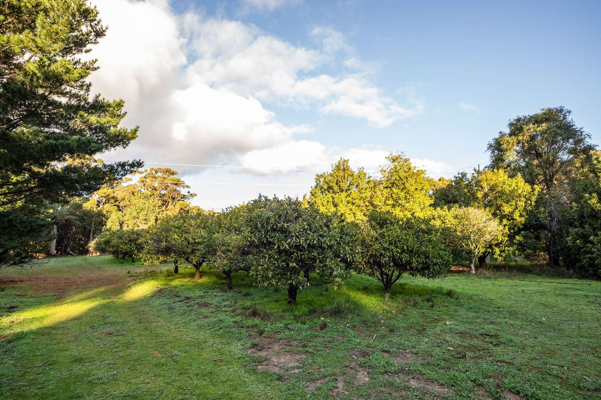 546 Boodjidup Road, Redgate For Sale by Farmbuy.com - image 33