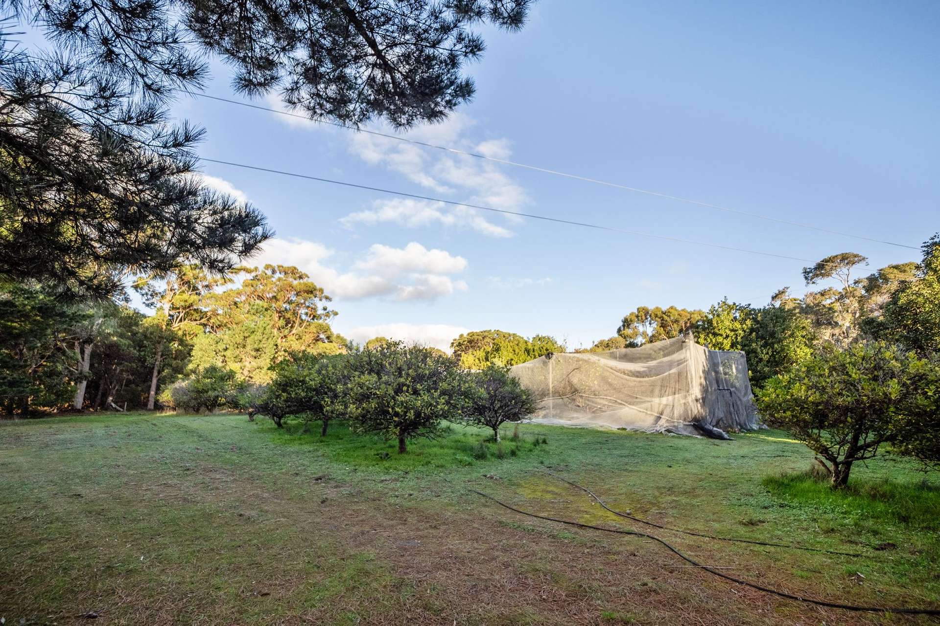 546 Boodjidup Road, Redgate For Sale by Farmbuy.com - image 34