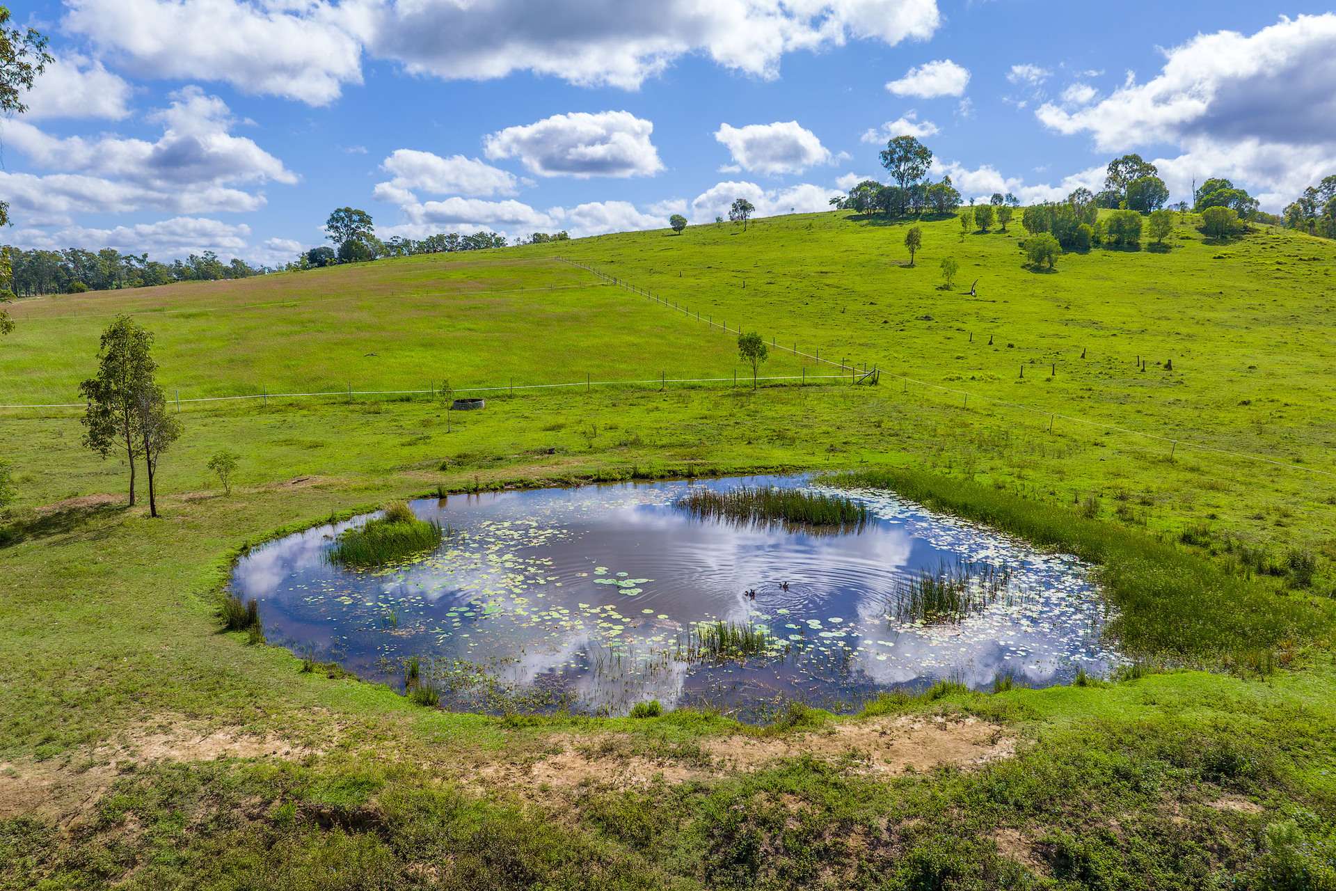 5608 Bruce Highway, Tiaro For Sale by Farmbuy.com - image 10