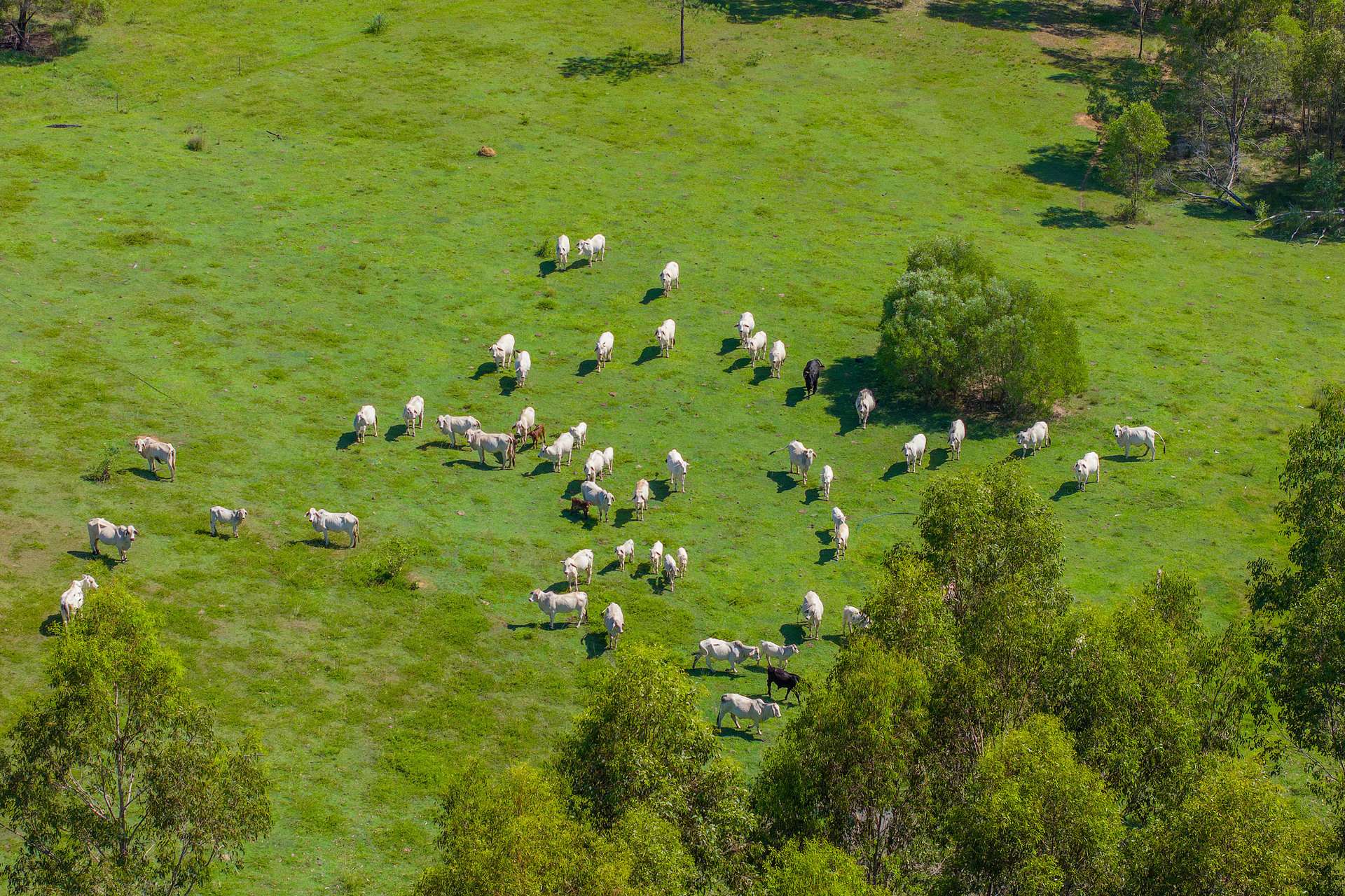 5608 Bruce Highway, Tiaro For Sale by Farmbuy.com - image 14