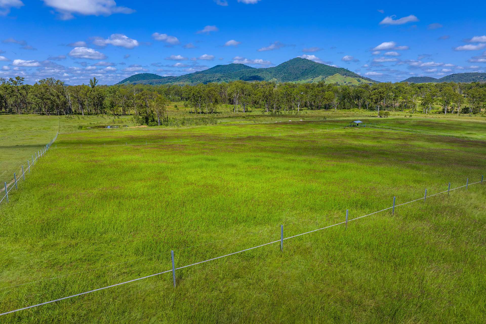 5608 Bruce Highway, Tiaro For Sale by Farmbuy.com - image 3
