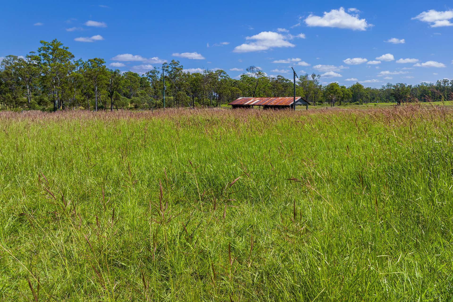 5608 Bruce Highway, Tiaro For Sale by Farmbuy.com - image 32