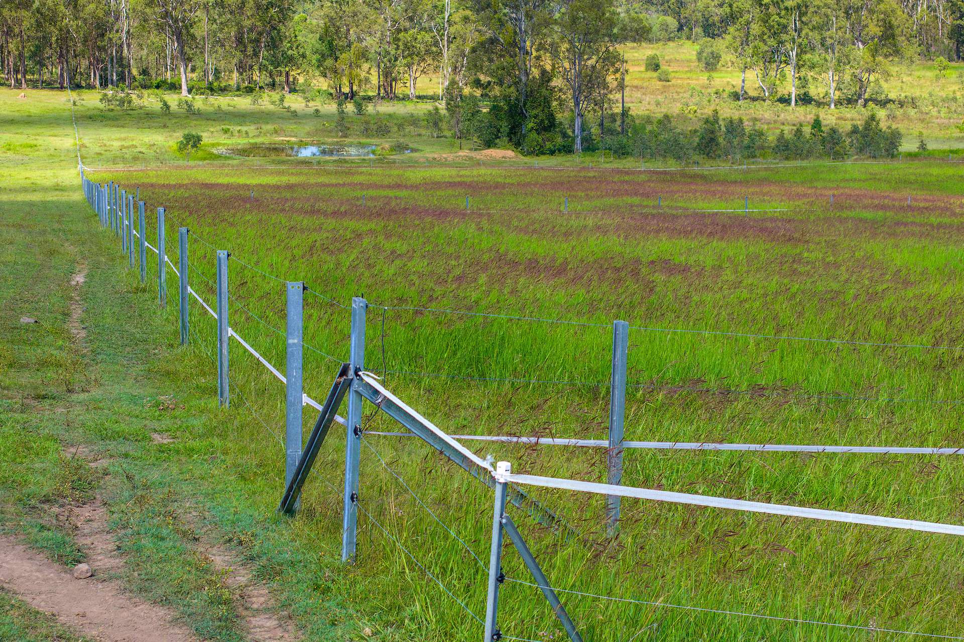 5608 Bruce Highway, Tiaro For Sale by Farmbuy.com - image 13