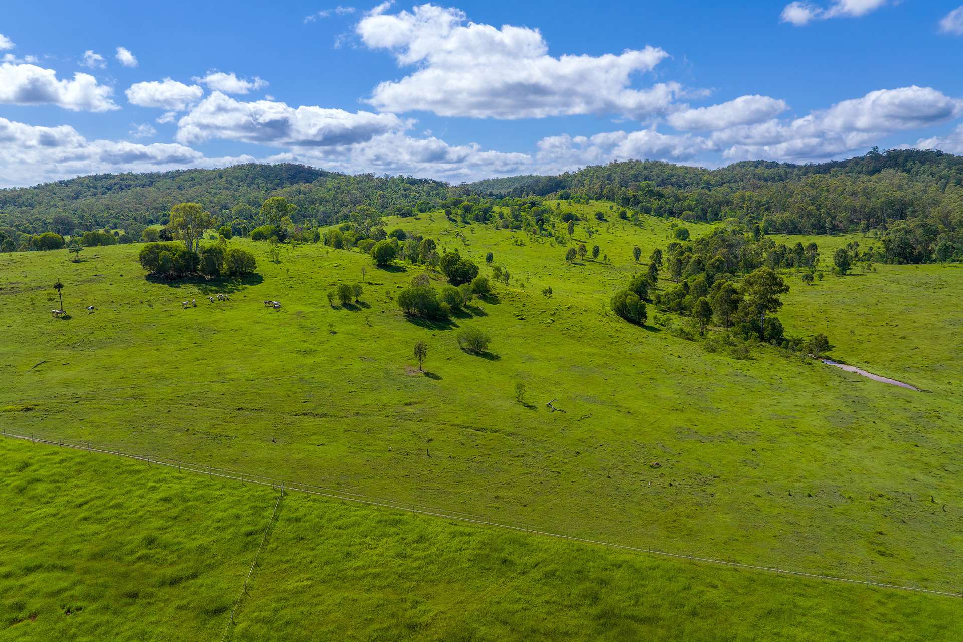 5608 Bruce Highway, Tiaro For Sale by Farmbuy.com - image 27