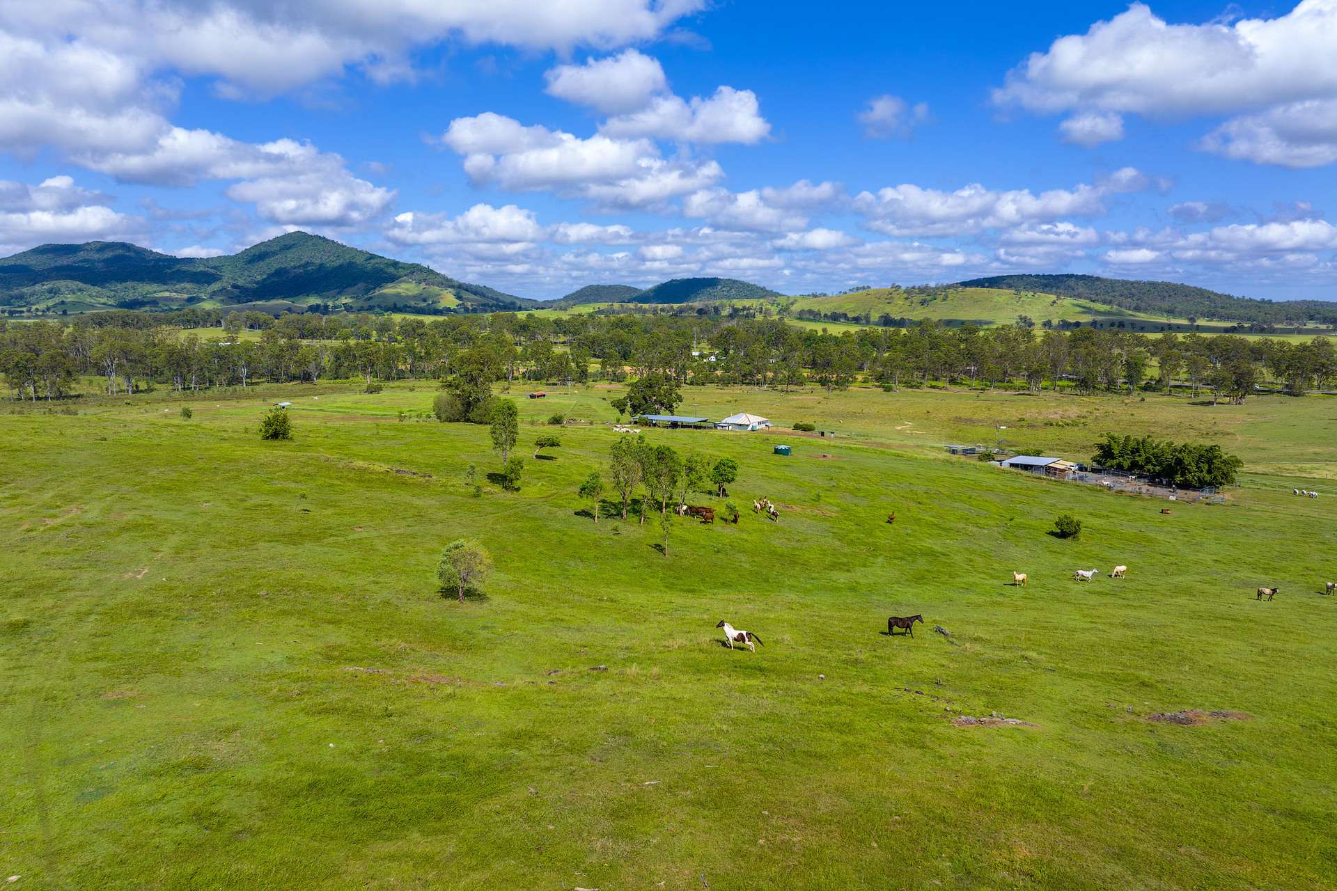 5608 Bruce Highway, Tiaro For Sale by Farmbuy.com - image 8