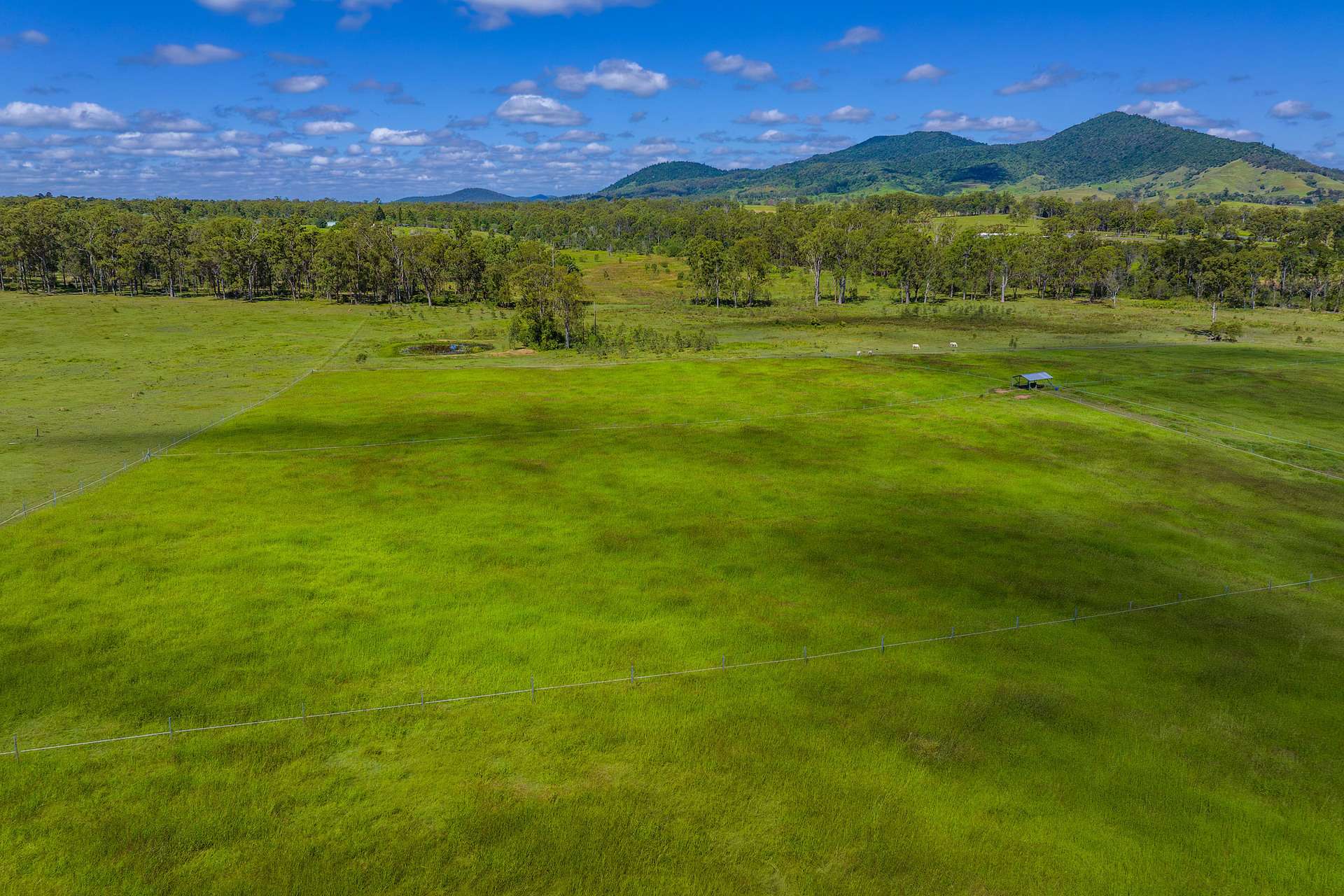 5608 Bruce Highway, Tiaro For Sale by Farmbuy.com - image 2