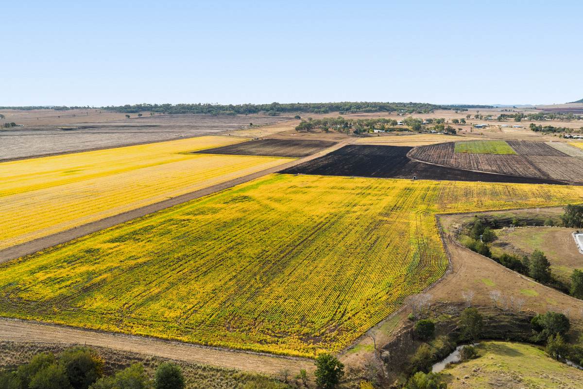 Lot 2,  Hillside Road, Allora For Sale by Farmbuy.com - image 1