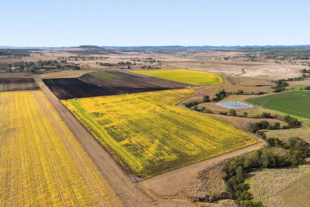 Lot 2,  Hillside Road, Allora For Sale by Farmbuy.com - image 5