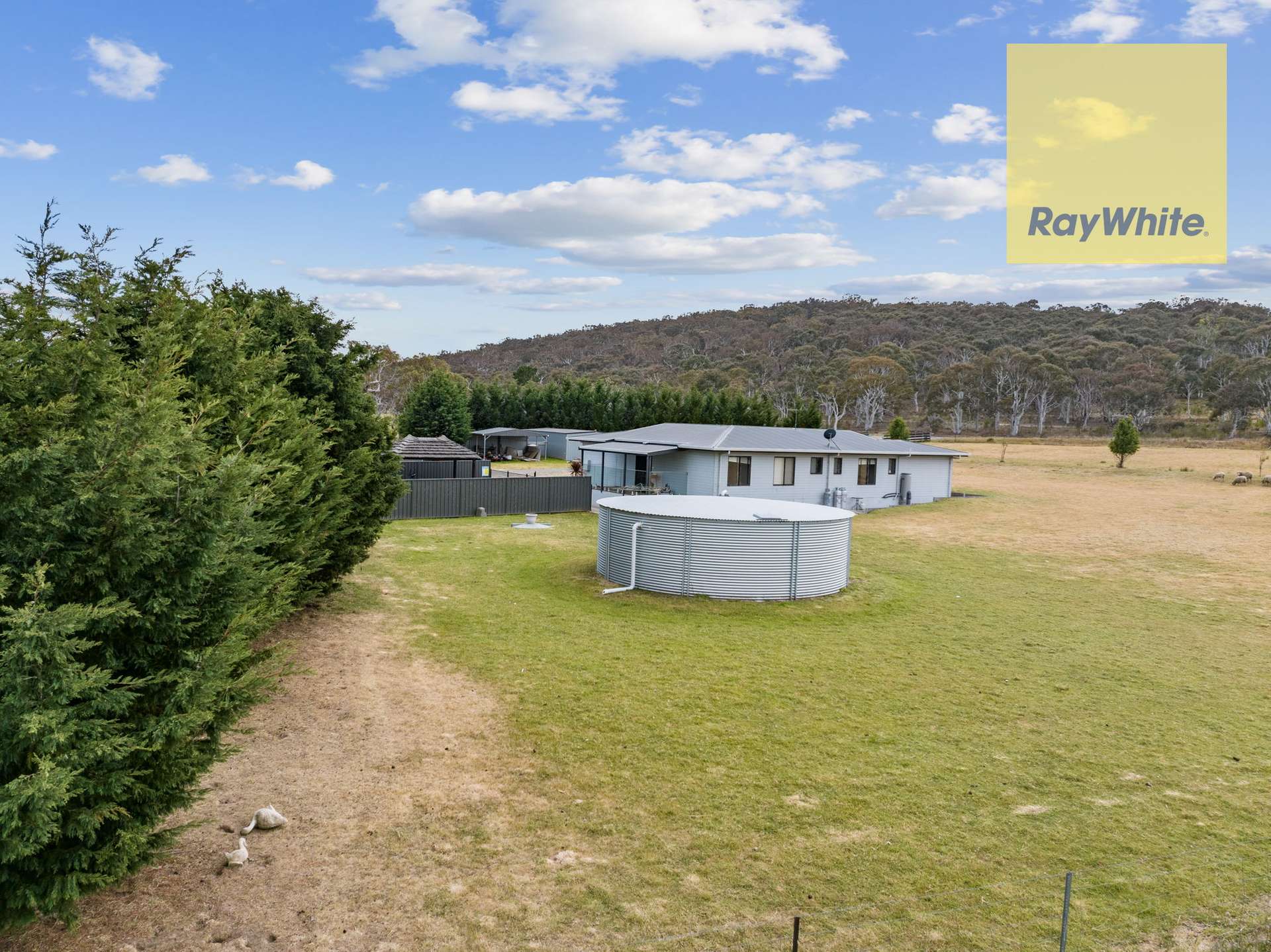 2727 Collector Road, Collector Auction by Farmbuy.com - image 16