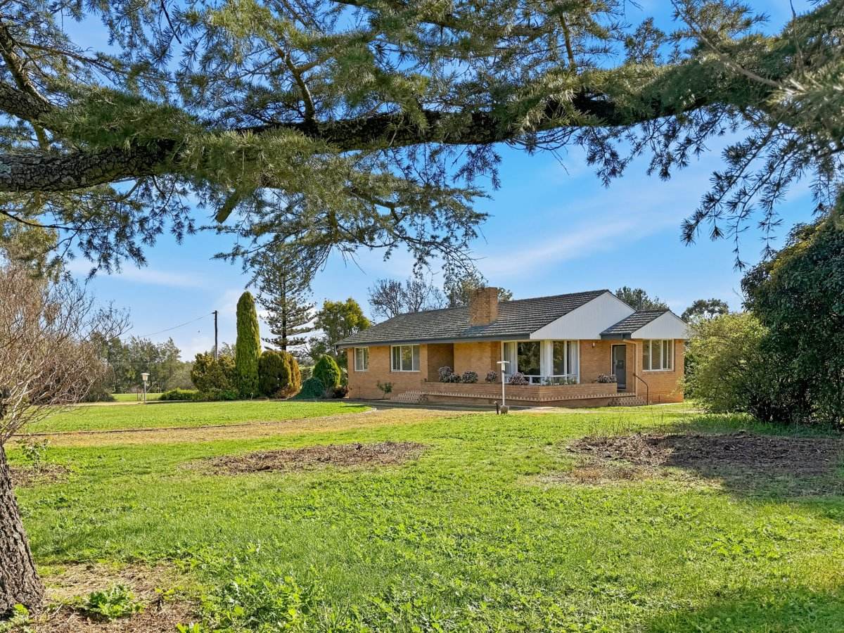 529 Olympic Hwy North, Young Sold by Farmbuy.com - image 1