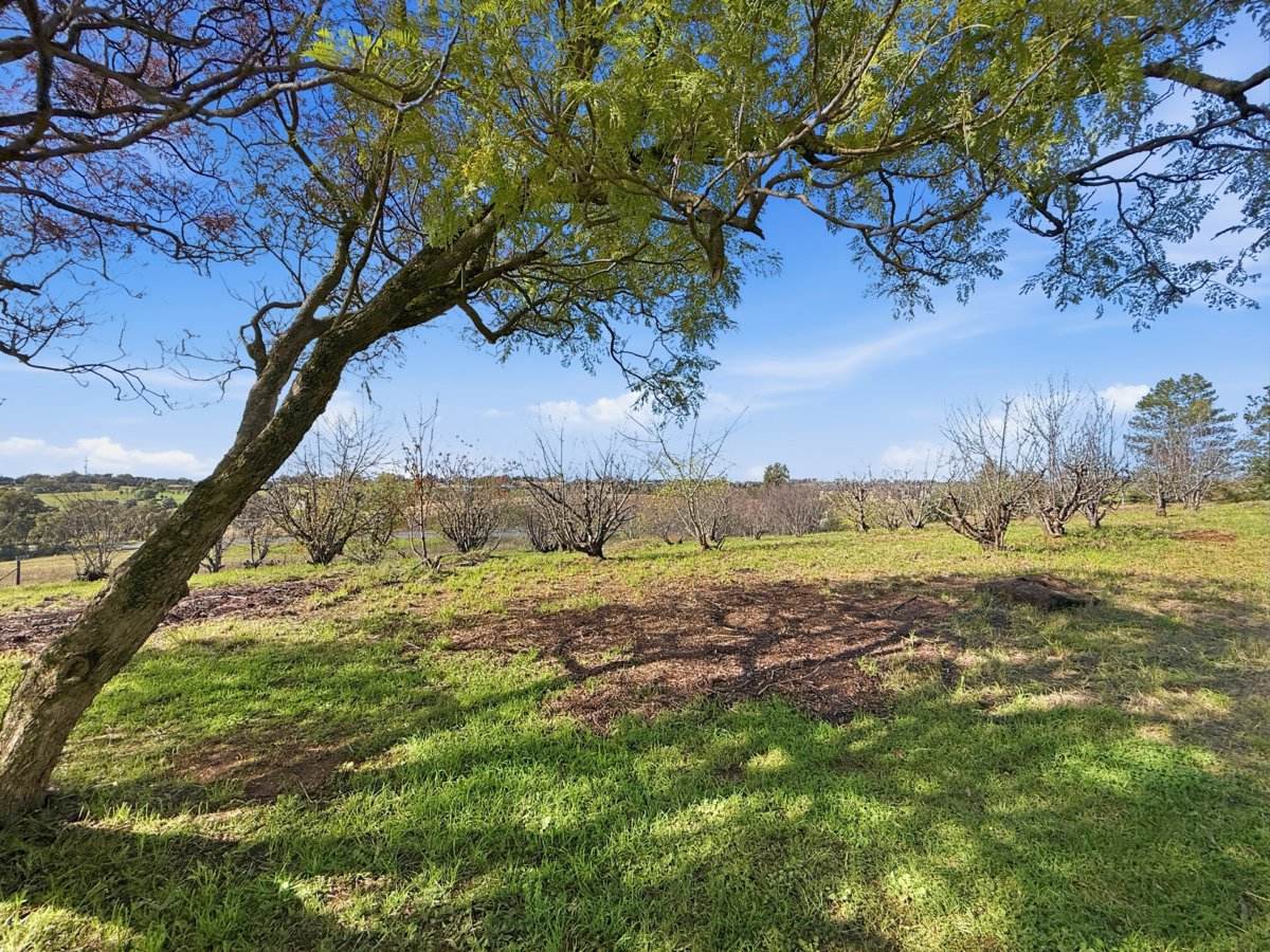 529 Olympic Hwy North, Young For Sale by Farmbuy.com - image 22