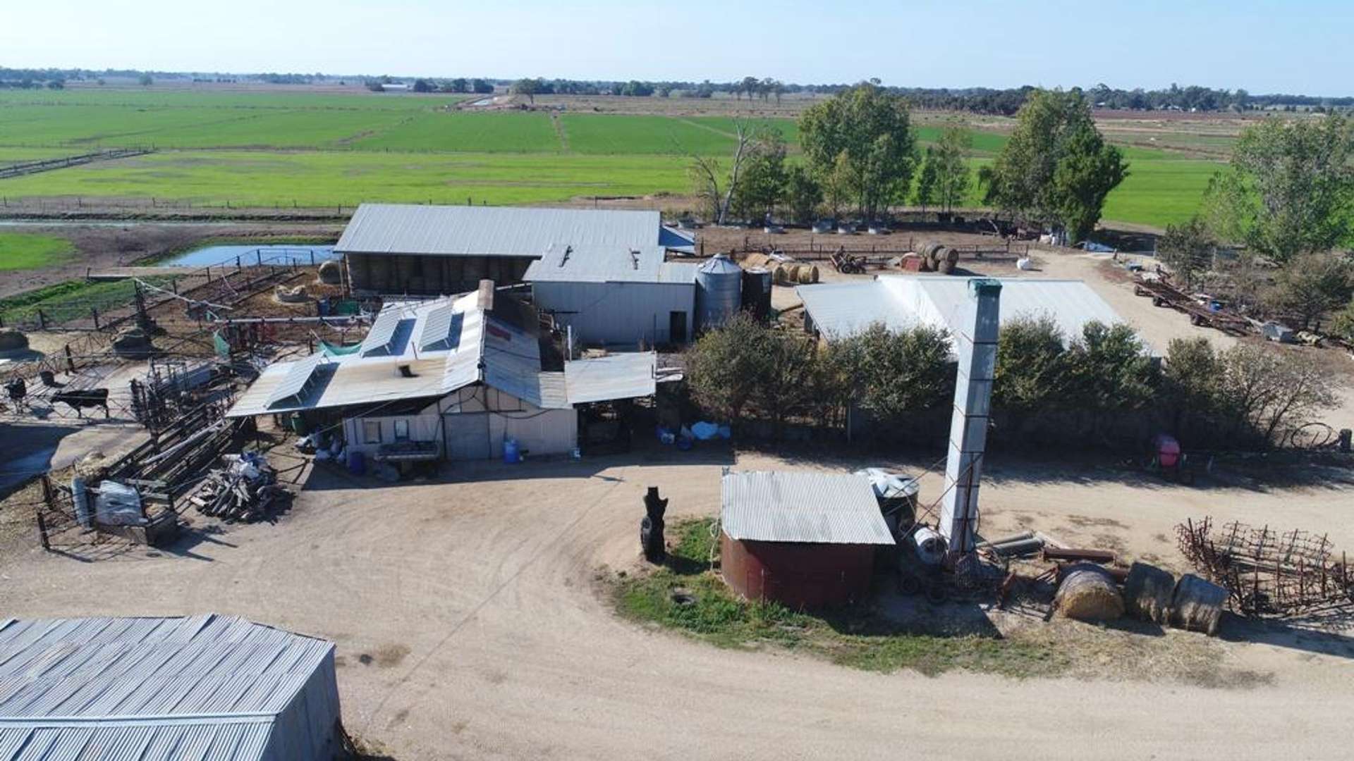 1347 Boals Road, Numurkah For Sale by Farmbuy.com - image 4