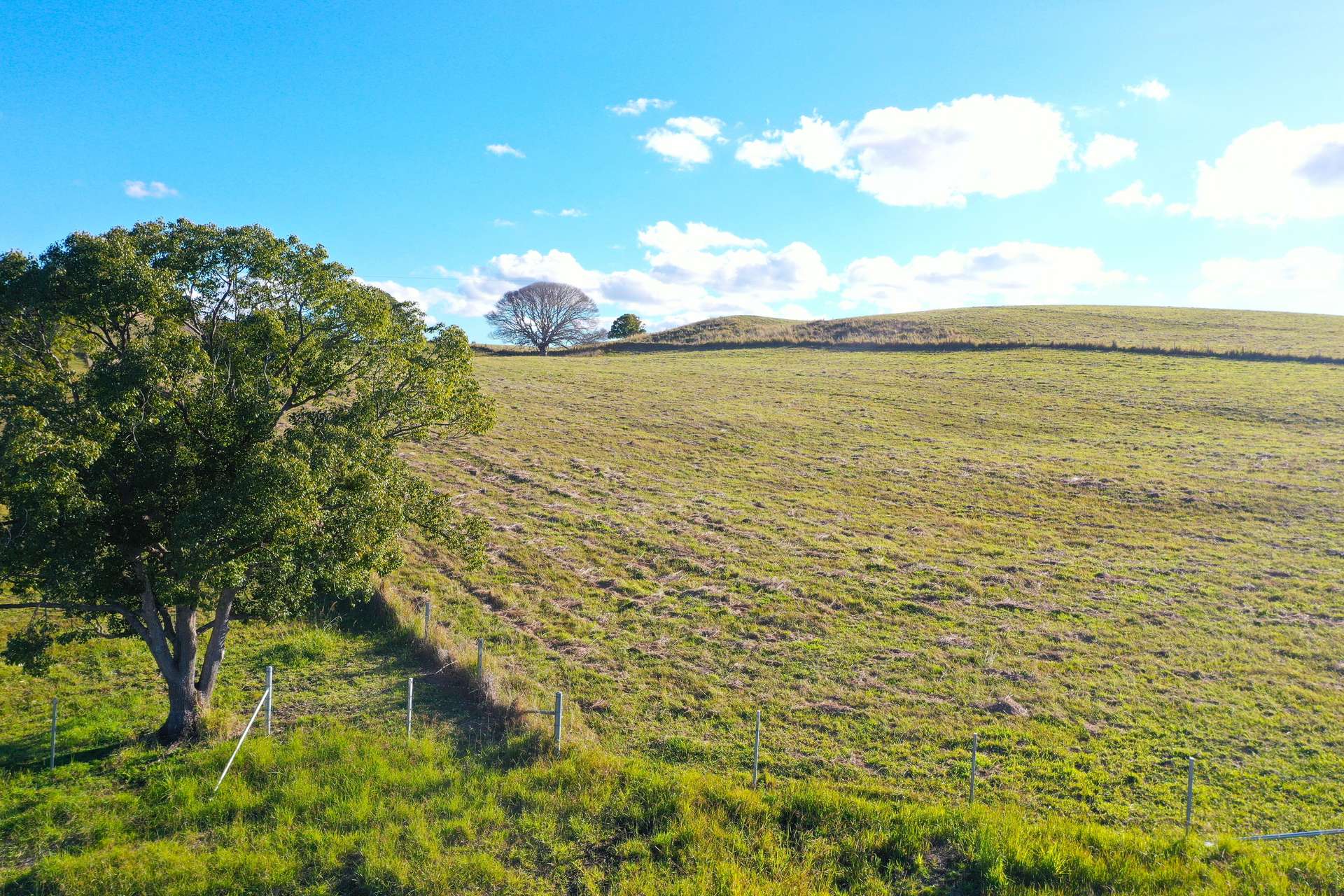 Lot 11, Eggins Road Doubtful Creek, New South Wales 2470, Casino For Sale by Farmbuy.com - image 4