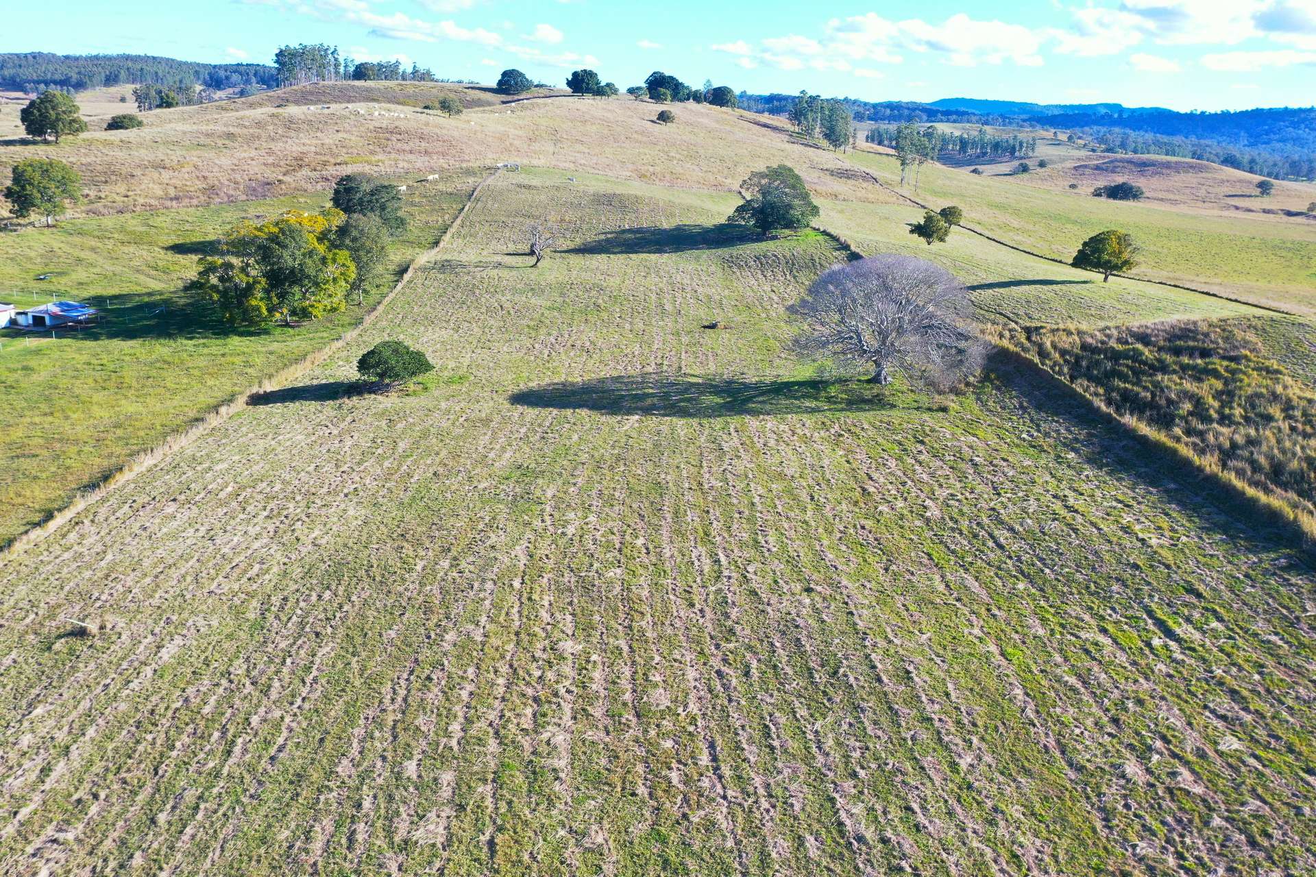 Lot 11, Eggins Road Doubtful Creek, New South Wales 2470, Casino For Sale by Farmbuy.com - image 6