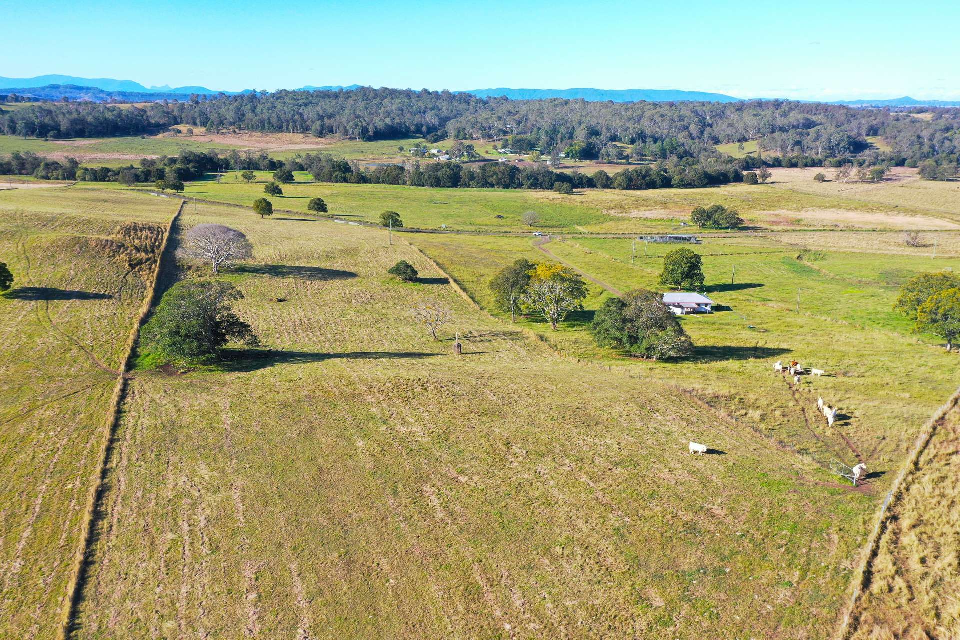 Lot 11, Eggins Road Doubtful Creek, New South Wales 2470, Casino For Sale by Farmbuy.com - image 8