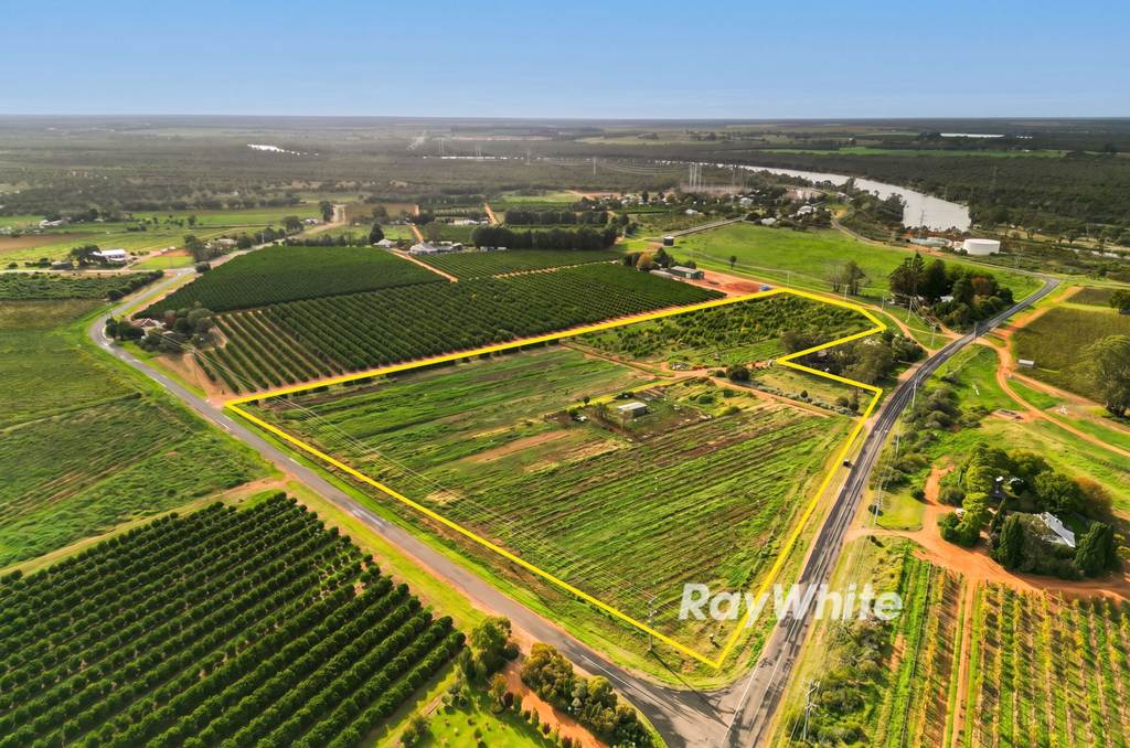 239 Pumps Road, Red Cliffs VIC 3496