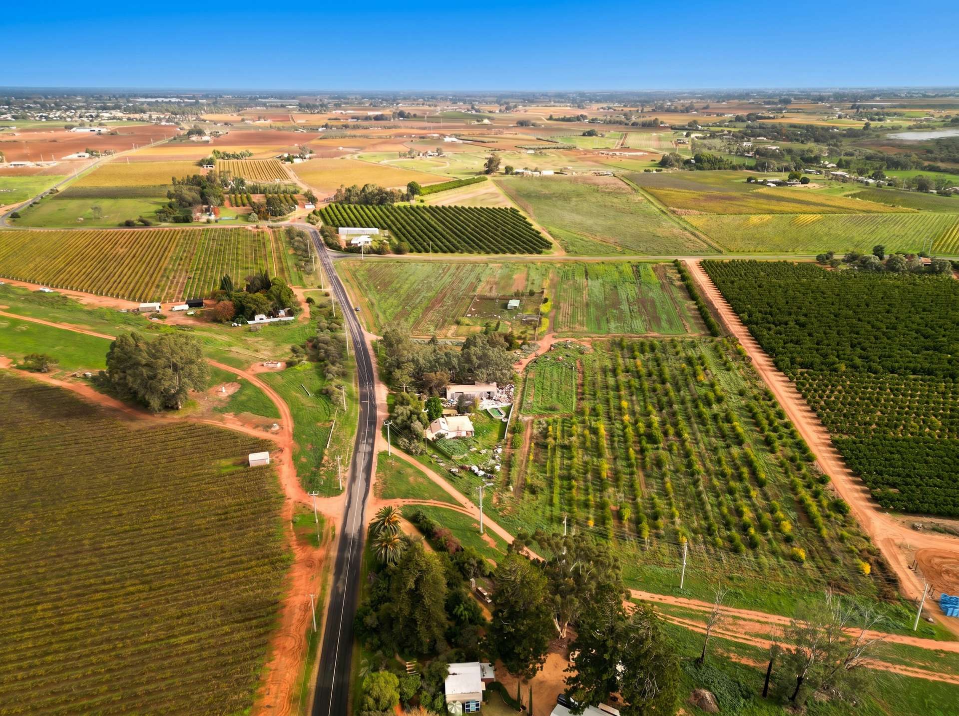 239 Pumps Road, Red Cliffs For Sale by Farmbuy.com - image 2