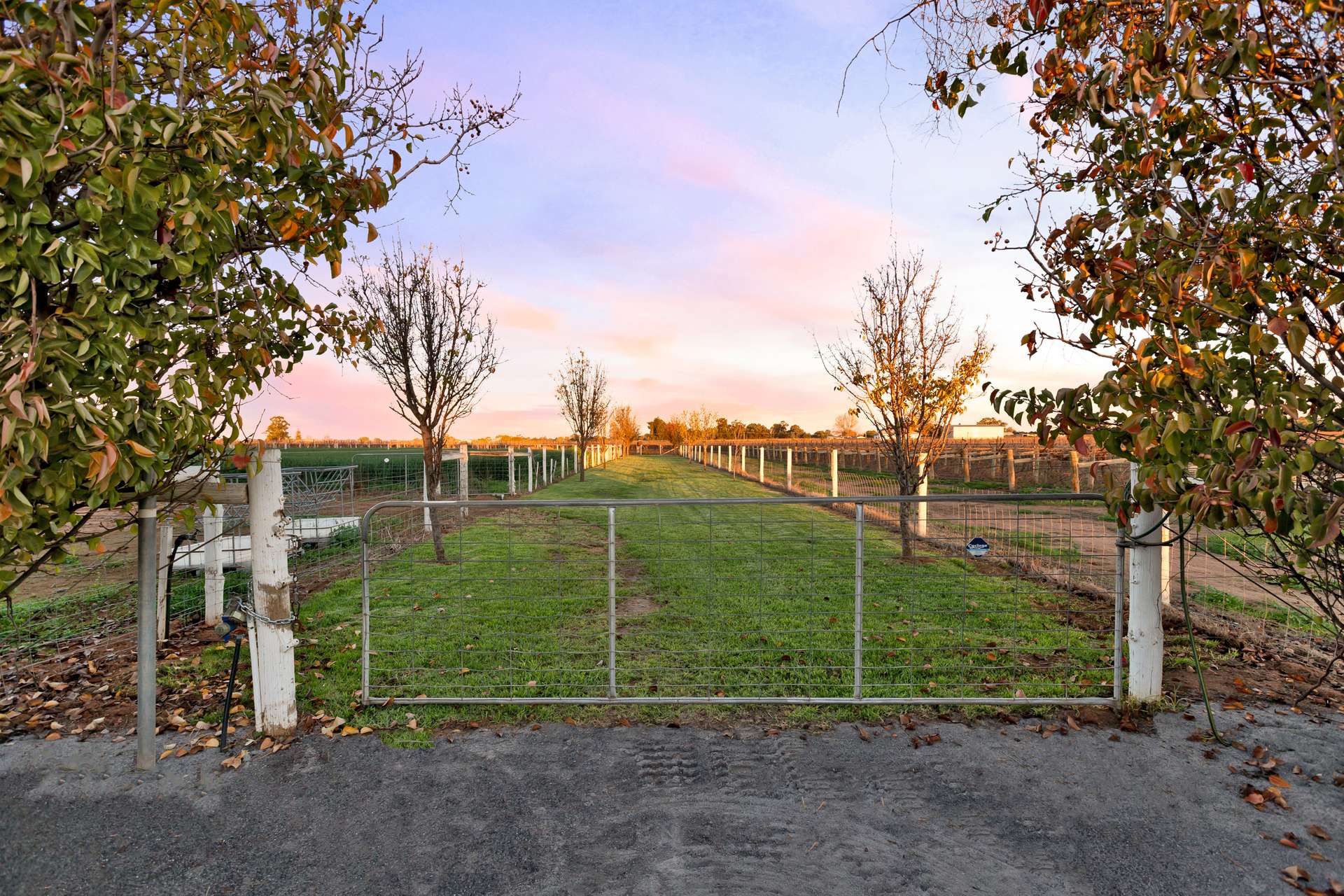 232 Koorlong Avenue, Nichols Point For Sale by Farmbuy.com - image 19