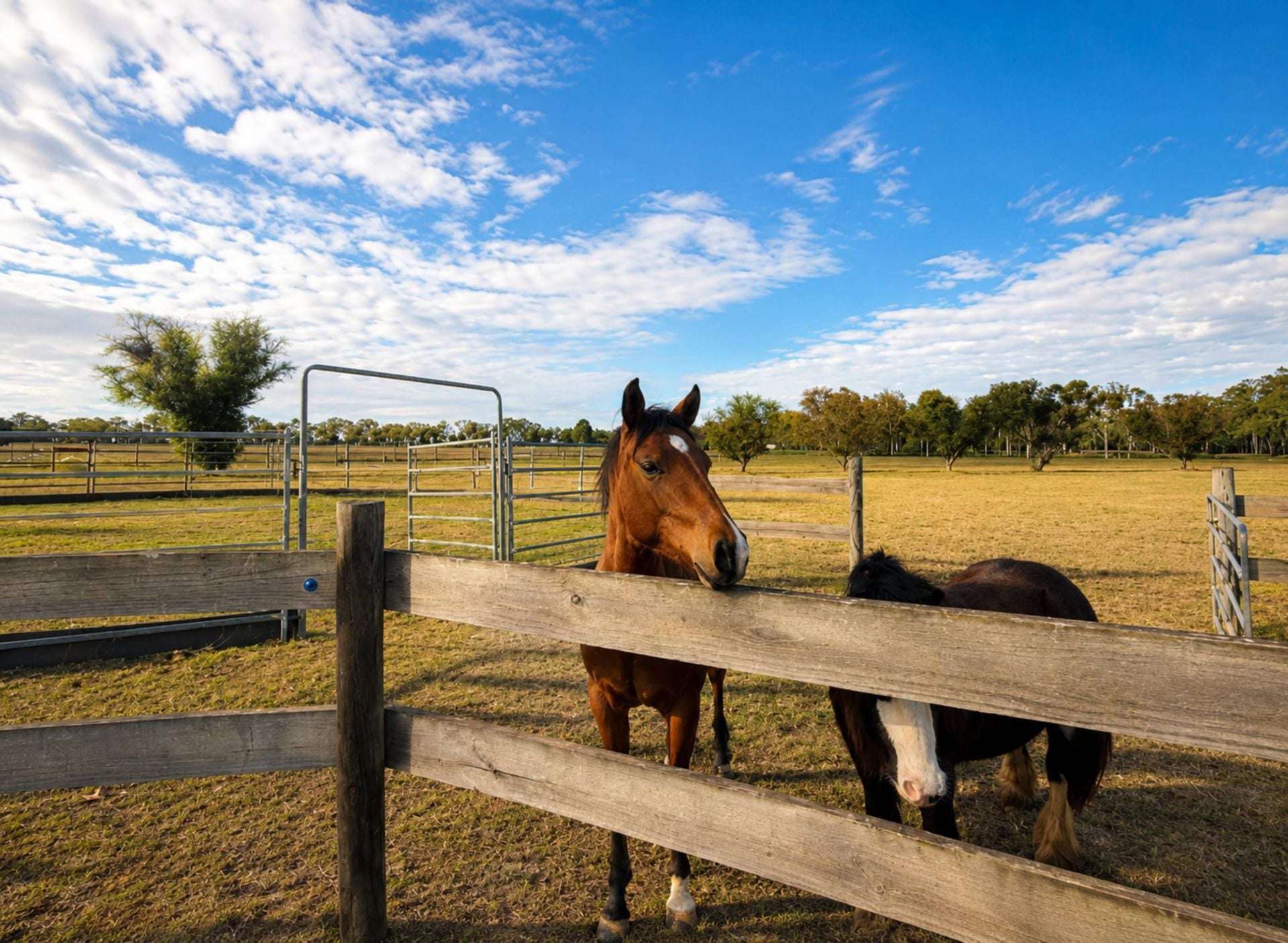 10383 Bunya Highway, Taabinga For Sale by Farmbuy.com - image 30