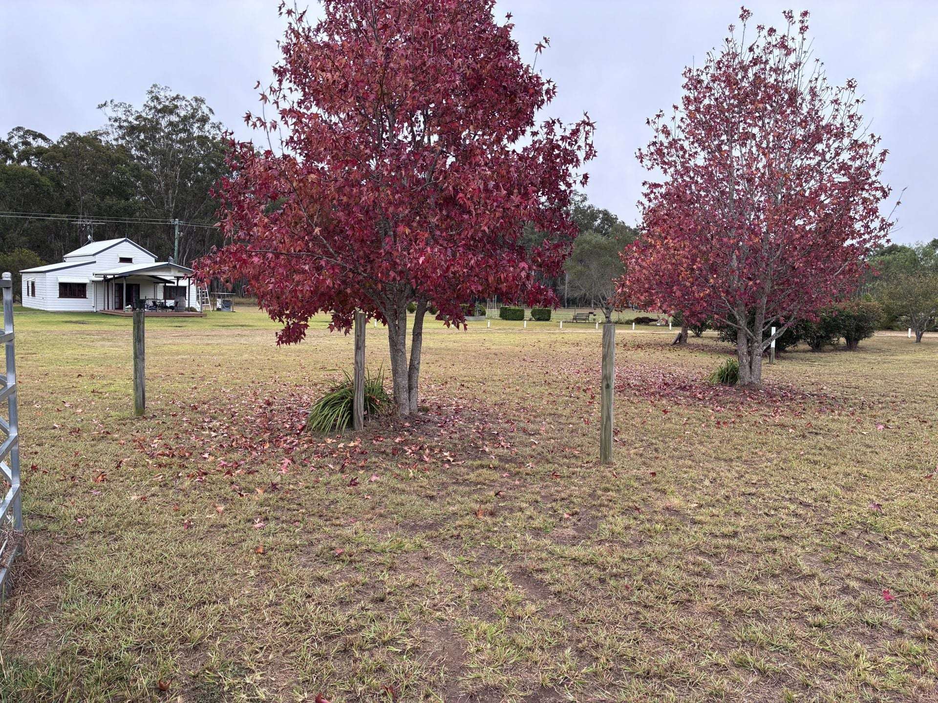 10383 Bunya Highway, Taabinga For Sale by Farmbuy.com - image 2