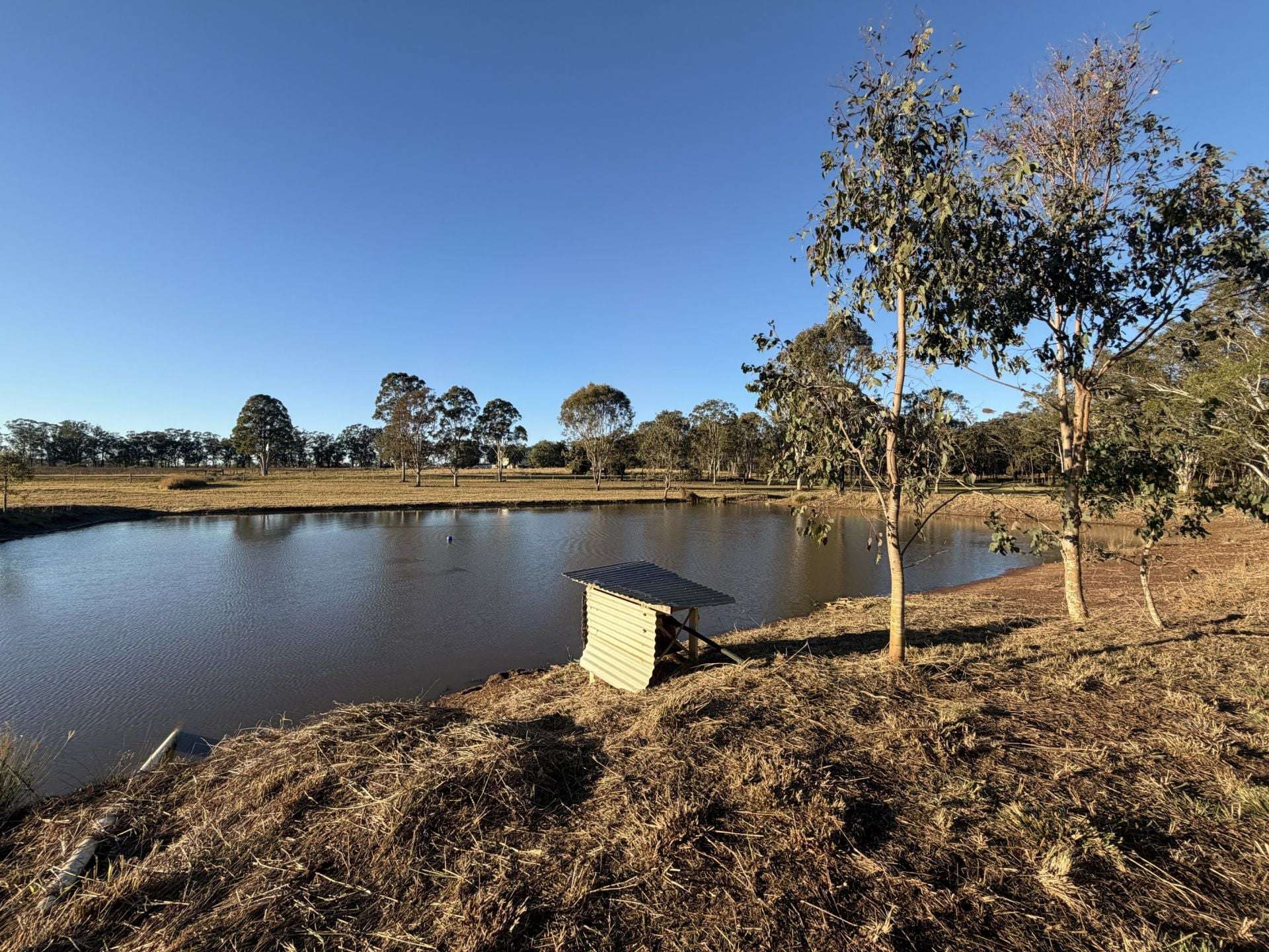 10383 Bunya Highway, Taabinga For Sale by Farmbuy.com - image 34