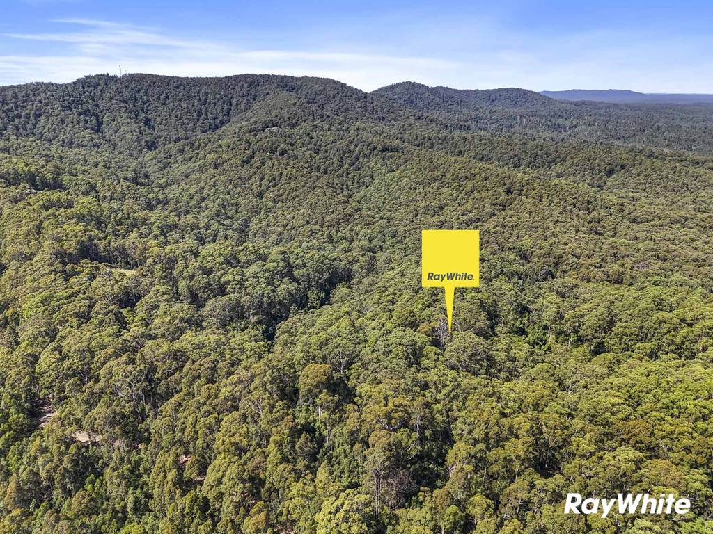 291D Brooman Road, Morton NSW 2538