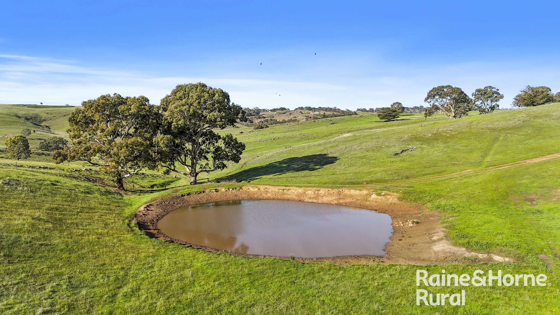 341 Wiles Firetrack, Wistow For Sale by Farmbuy.com - image 32