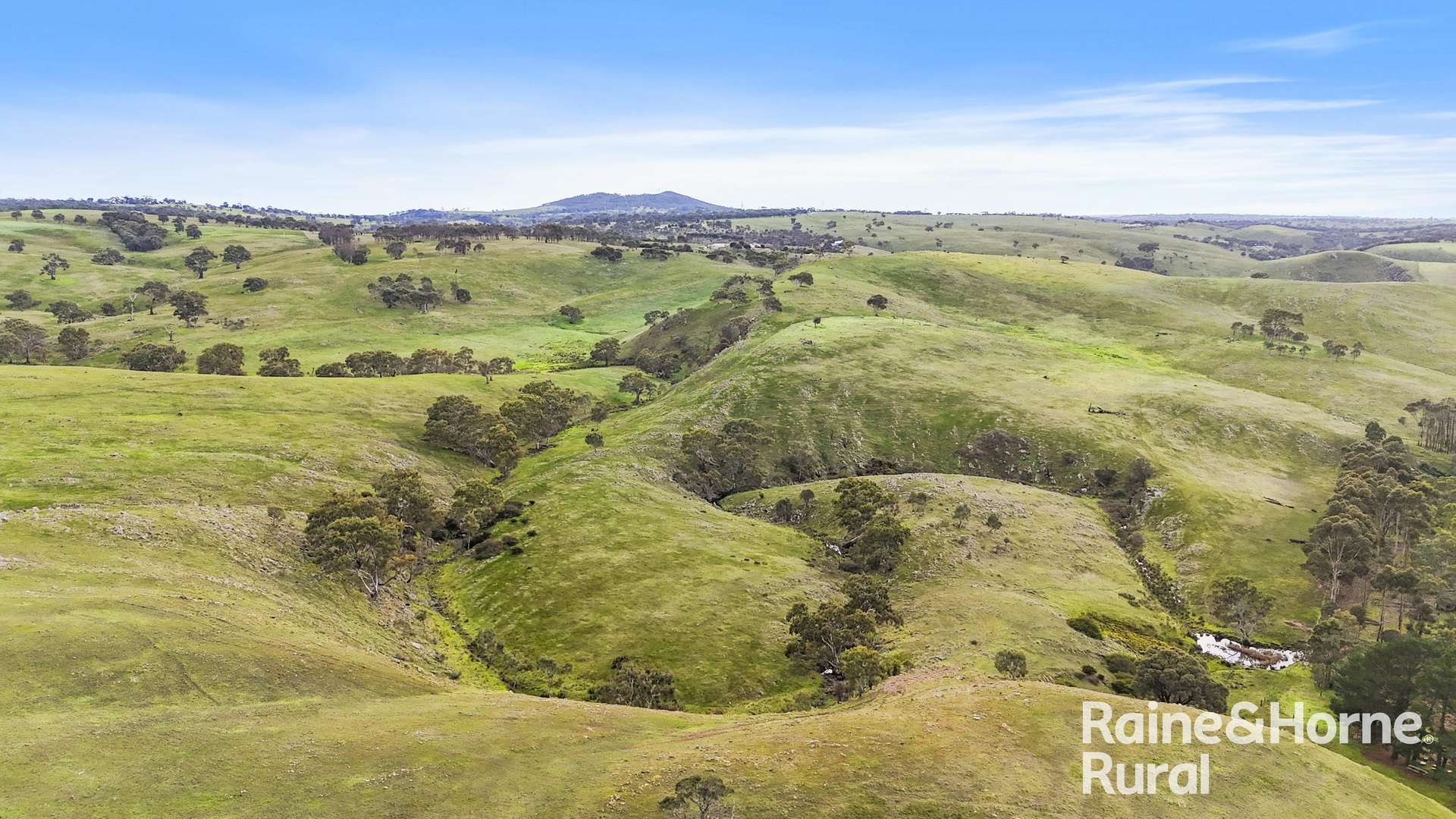 341 Wiles Firetrack, Wistow For Sale by Farmbuy.com - image 31