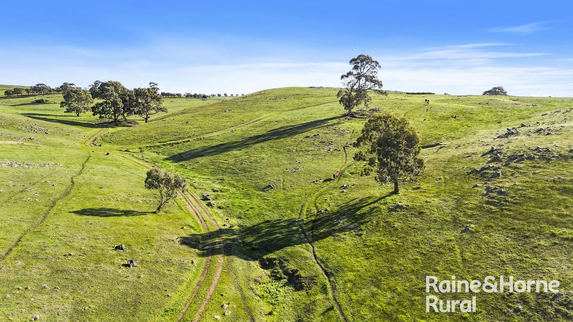 341 Wiles Firetrack, Wistow For Sale by Farmbuy.com - image 20