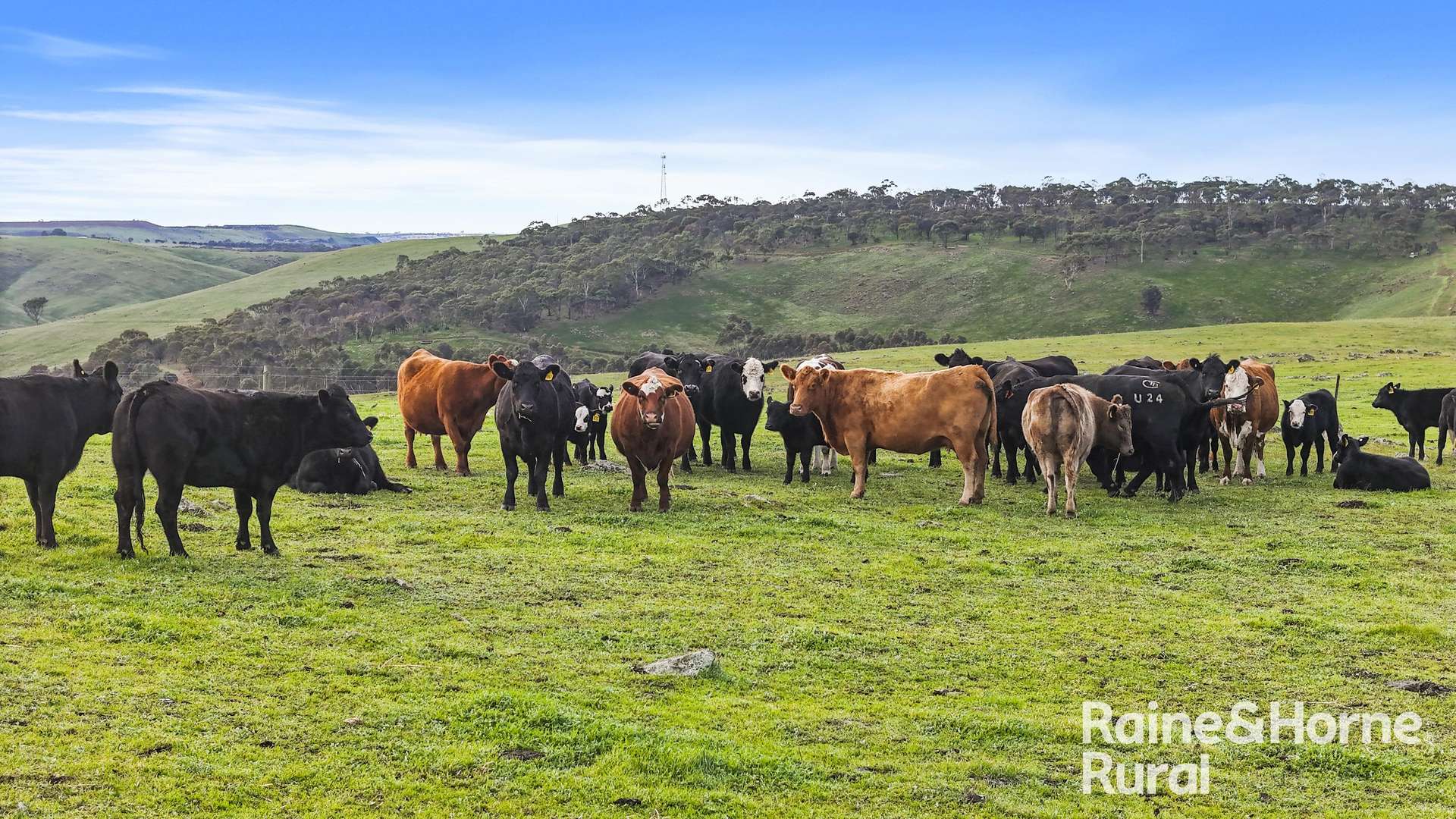 341 Wiles Firetrack, Wistow For Sale by Farmbuy.com - image 28