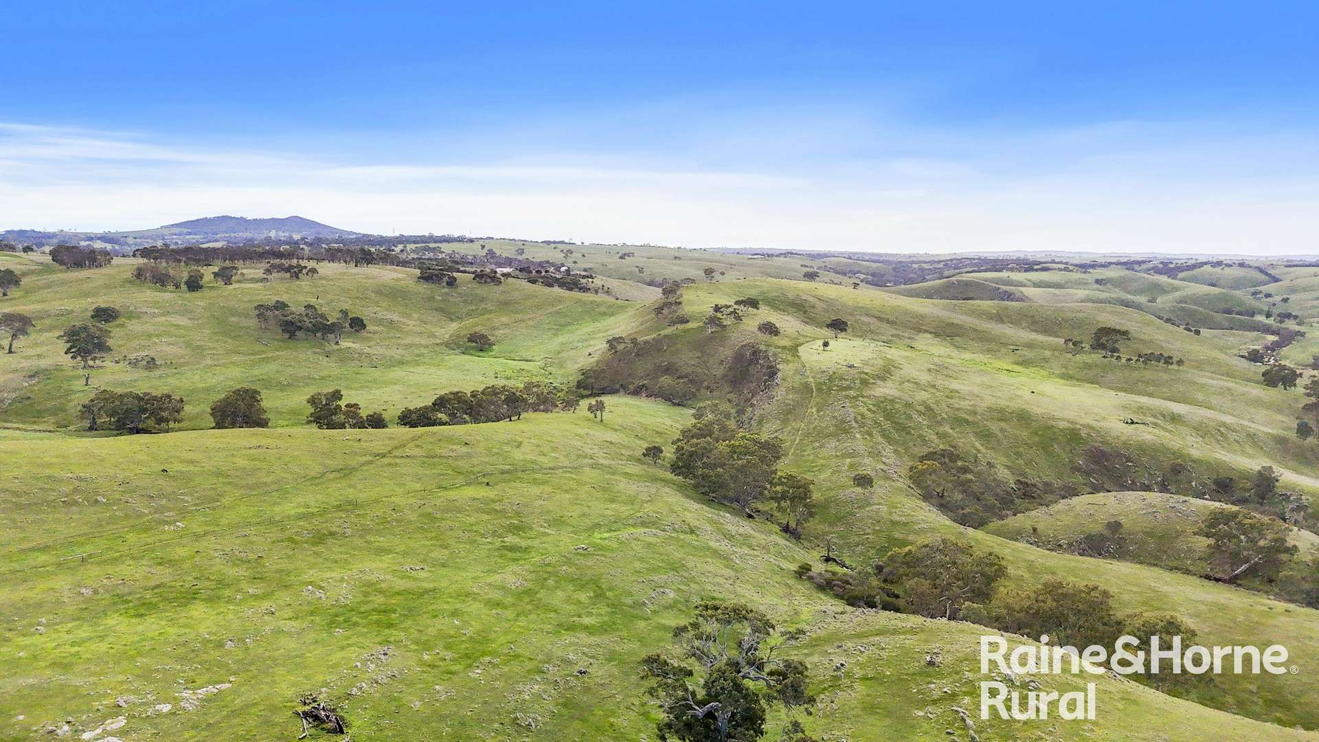 341 Wiles Firetrack, Wistow For Sale by Farmbuy.com - image 29