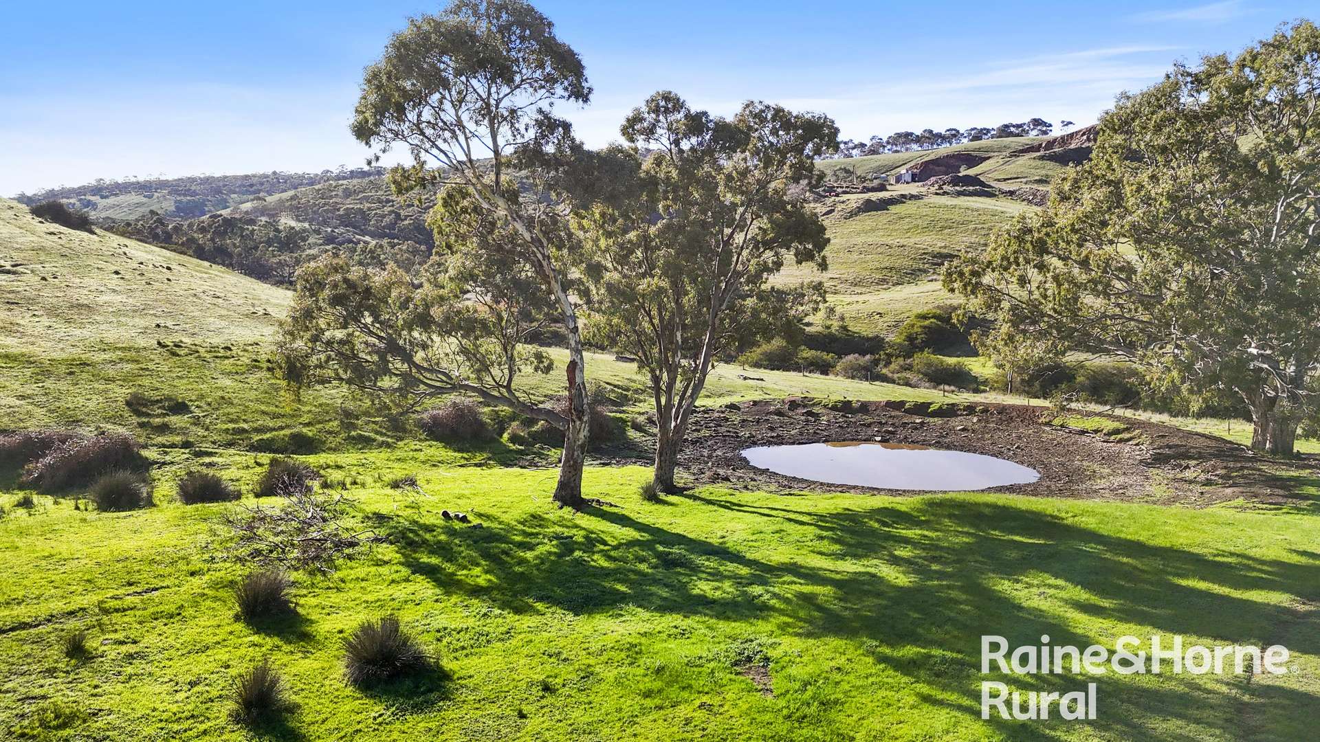 341 Wiles Firetrack, Wistow For Sale by Farmbuy.com - image 12