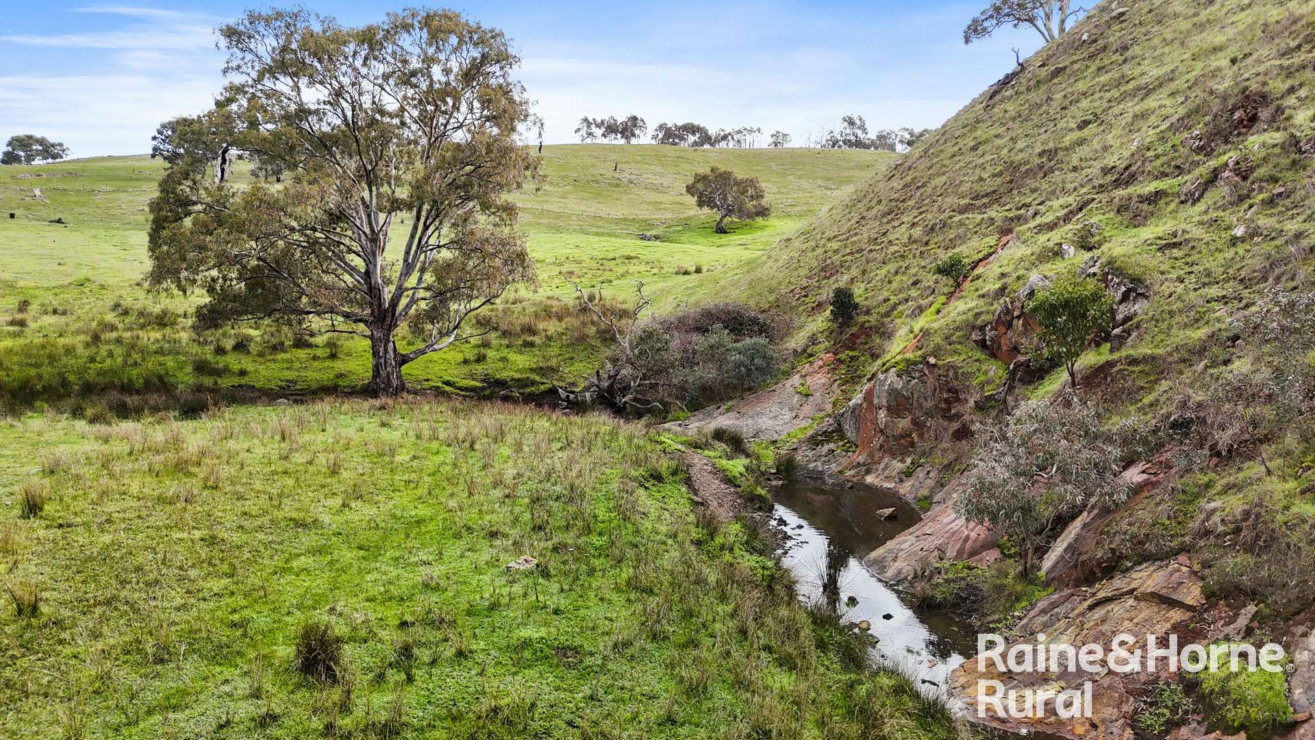 341 Wiles Firetrack, Wistow For Sale by Farmbuy.com - image 13